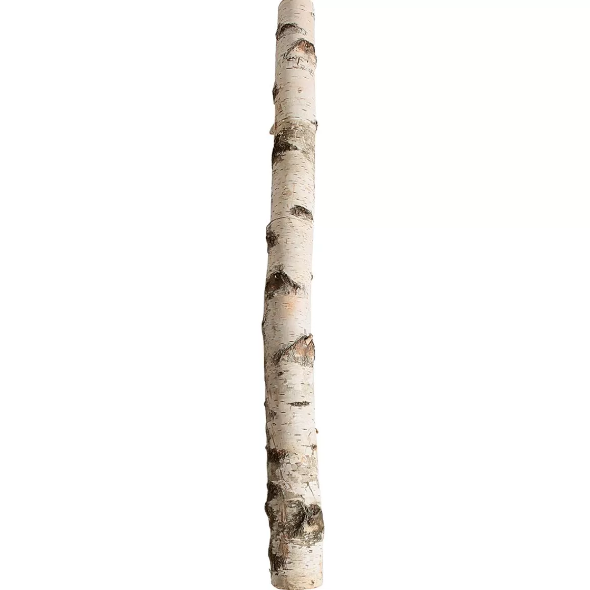 DecoWoerner Birch Trunk 100 Cm Approx. 6-10 Cm Ø