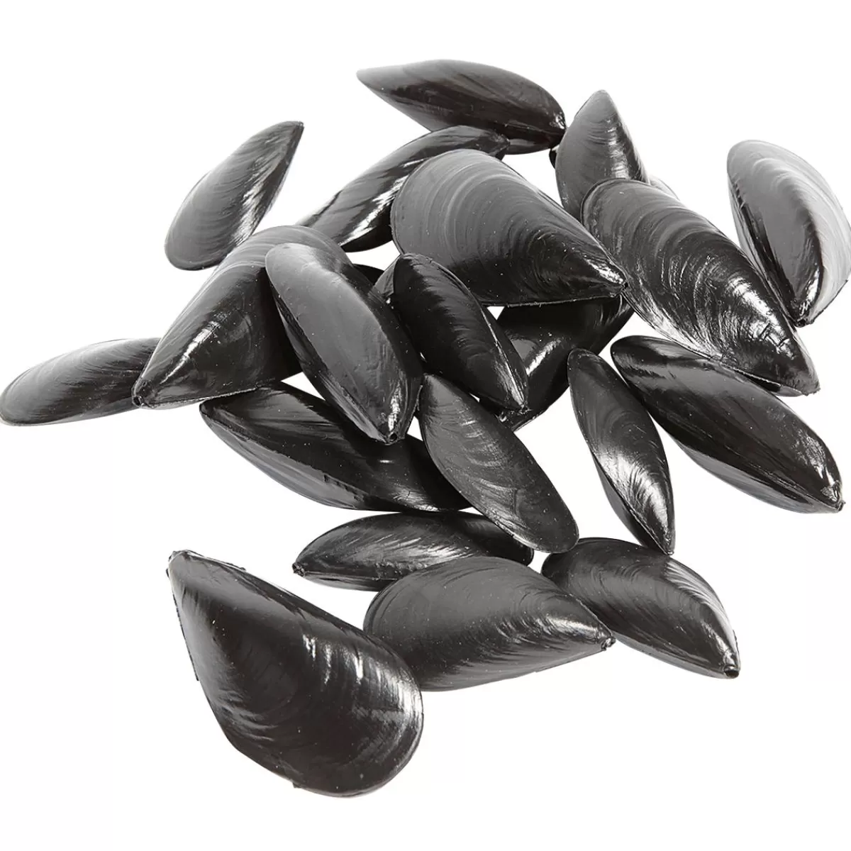 DecoWoerner Blue Mussels Food Dummies, Pack Of 24 Pieces