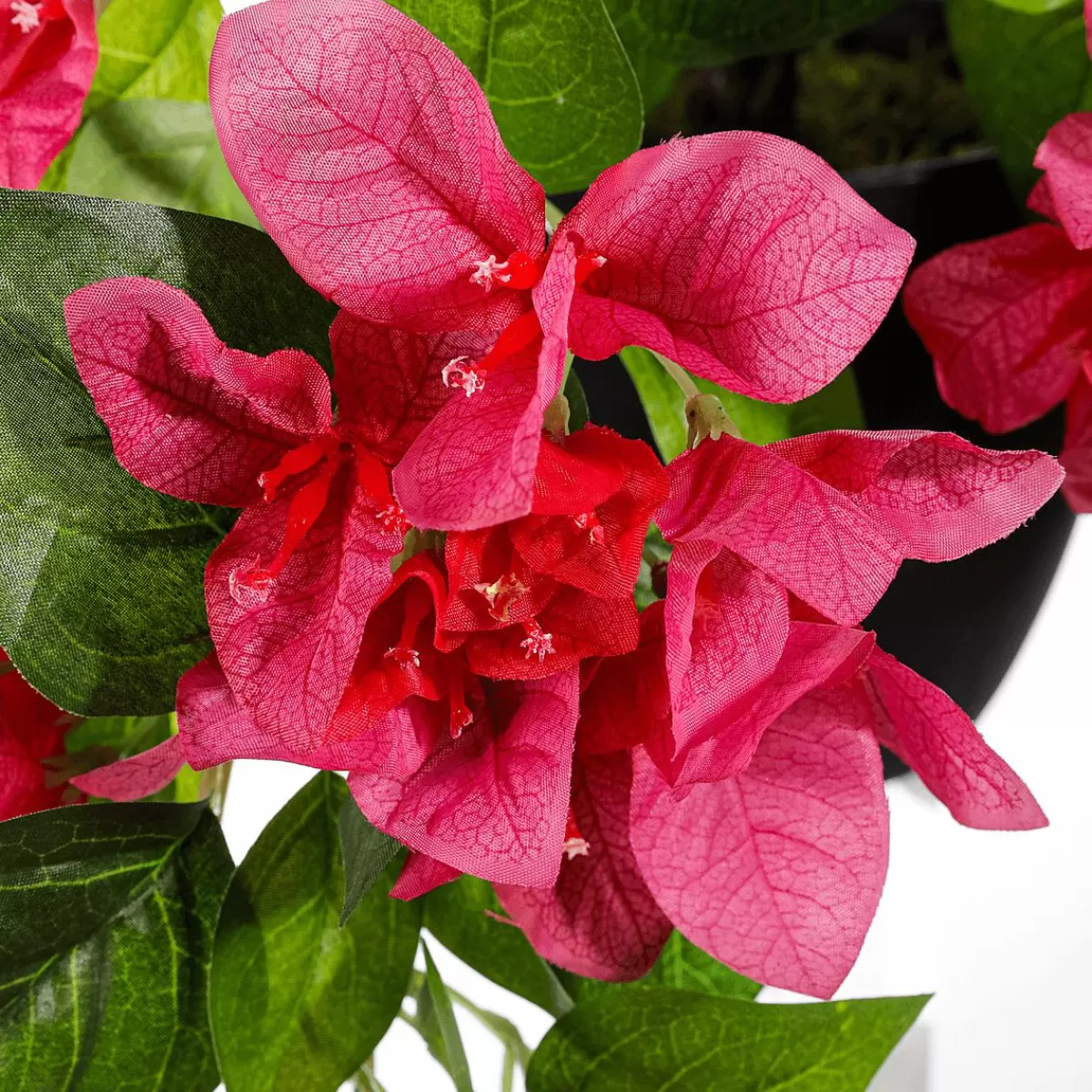 DecoWoerner Bougainvillea Hanging Artificial Flower In Pot 60 Cm