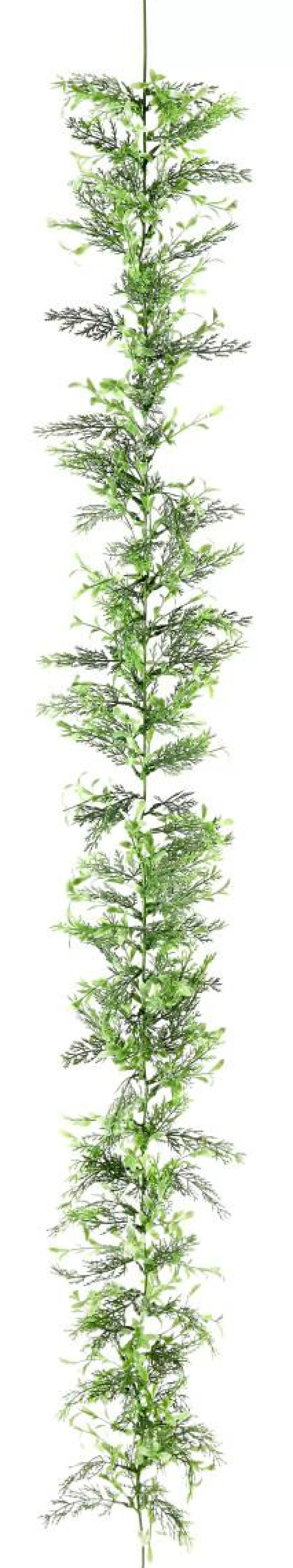 DecoWoerner Box Tree-cypresses Tendril, Length 170 Cm