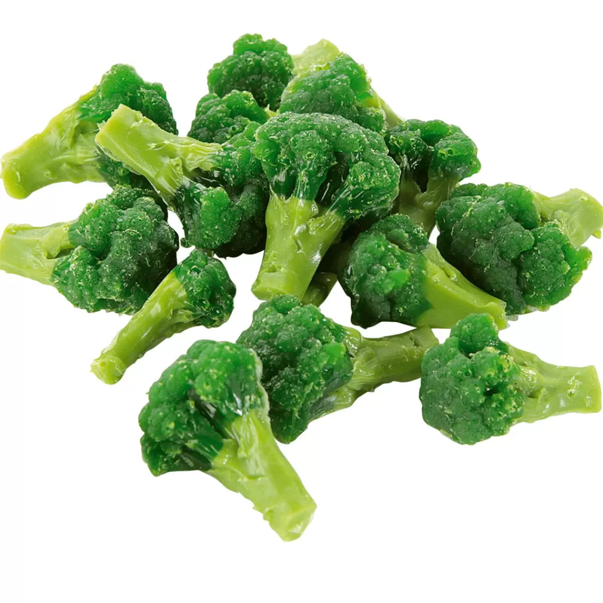 DecoWoerner Broccoli Blanched Food Replica, 100 G