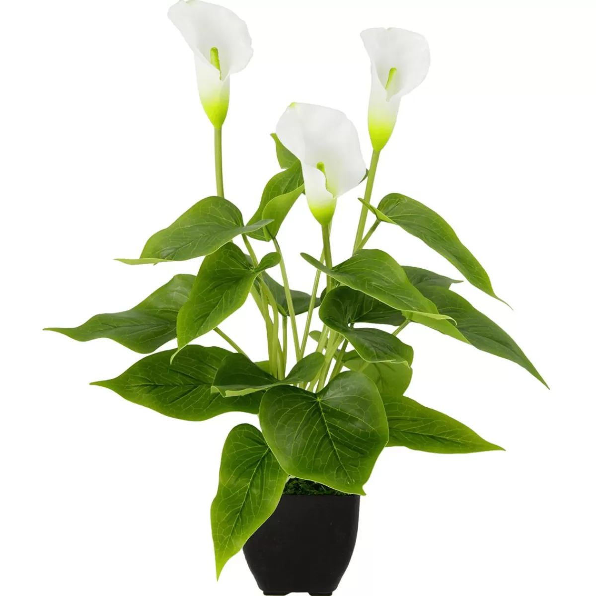 DecoWoerner Calla Artificial Plant 40 Cm In Pot