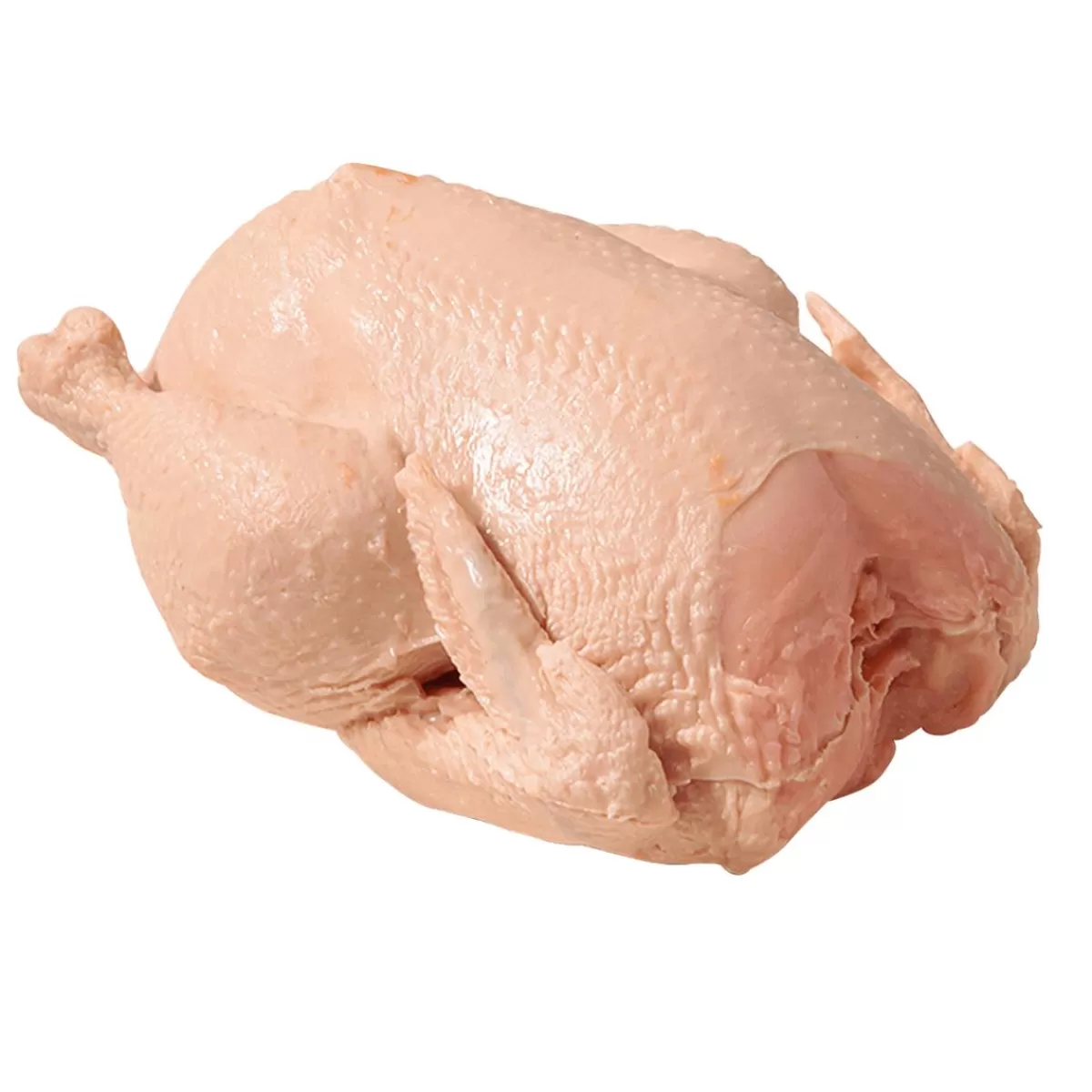 DecoWoerner Chicken Raw Food Dummy 23 Cm