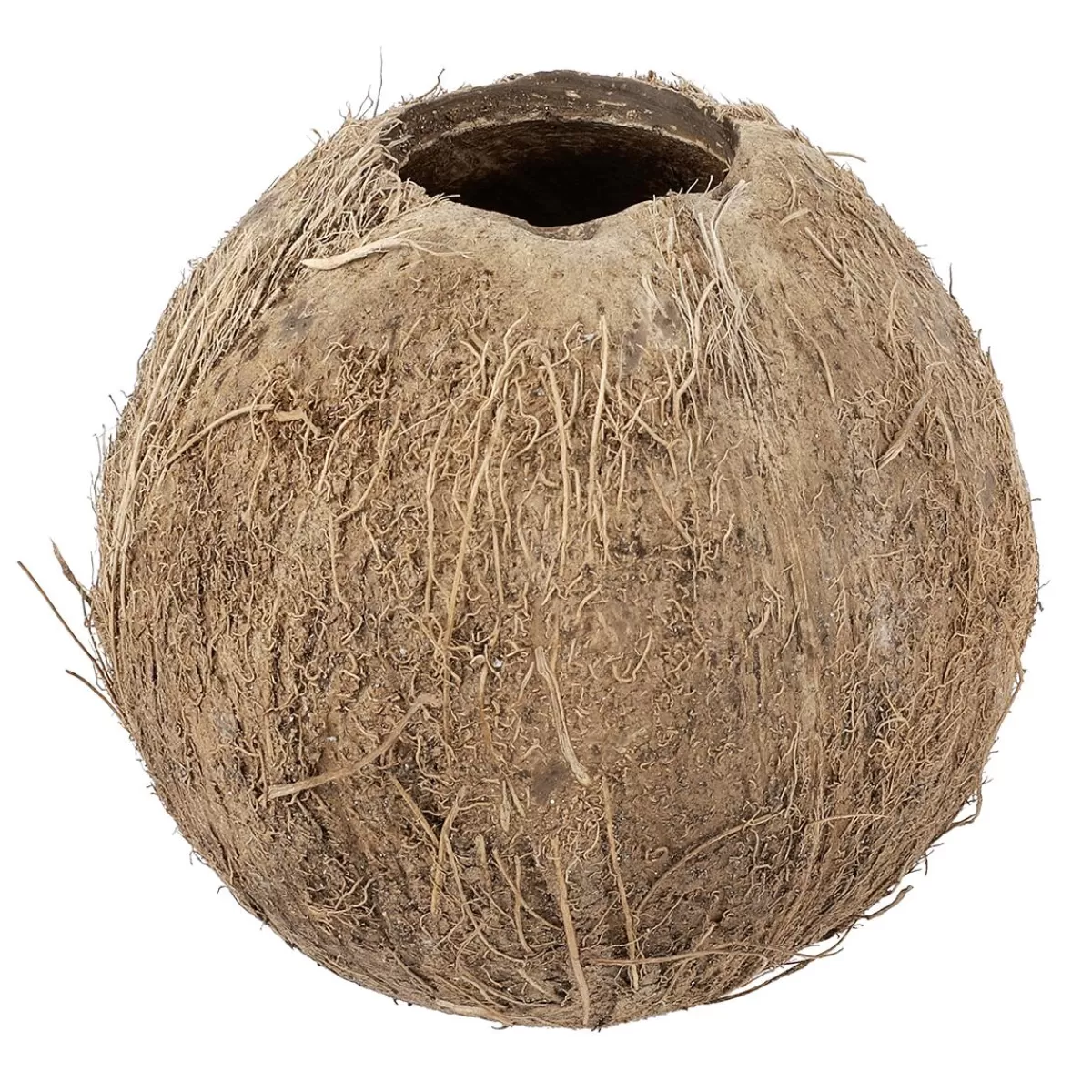 DecoWoerner Coconut 12 Cm Ø Fillable