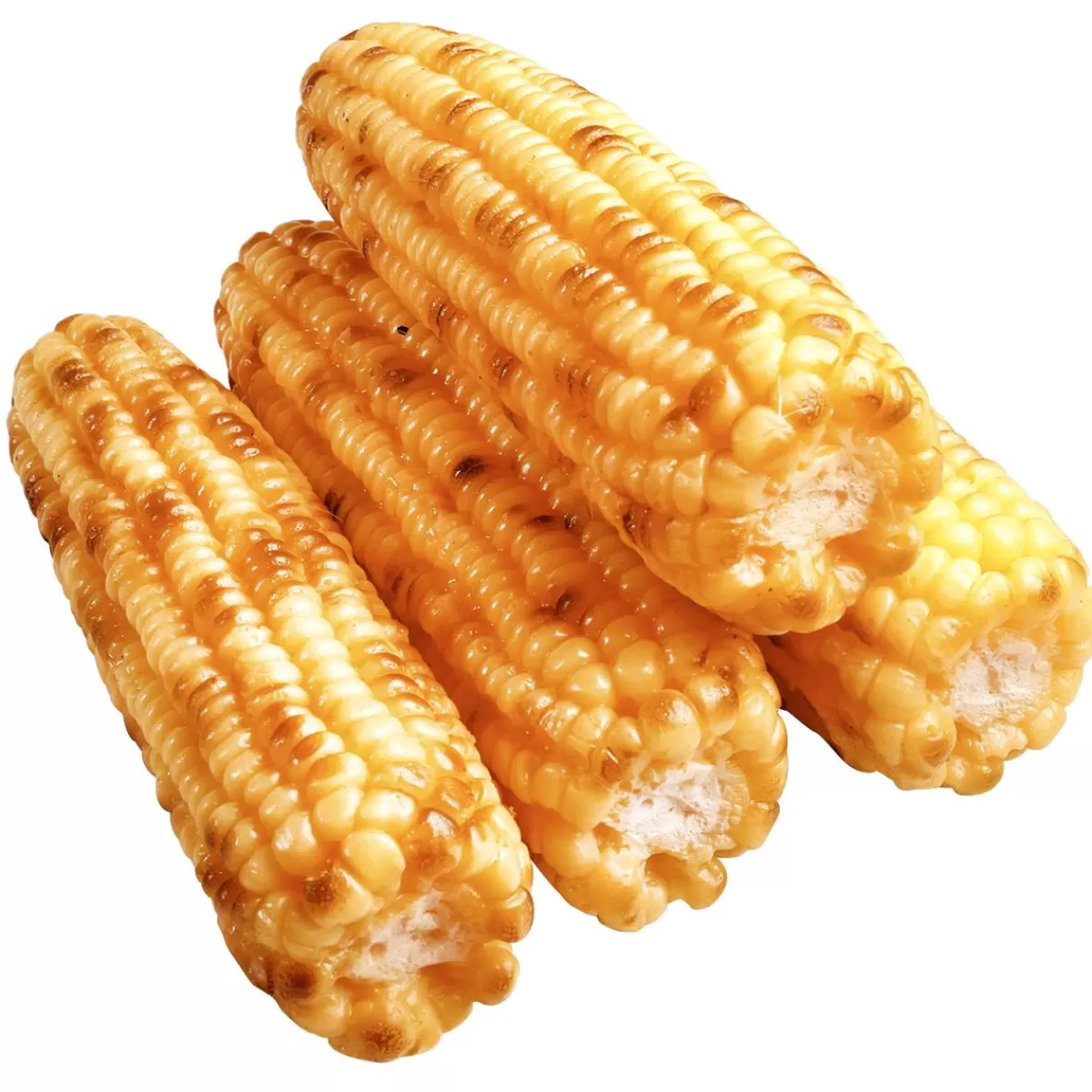 DecoWoerner Corncob Grilled Food Replica 25 Cm