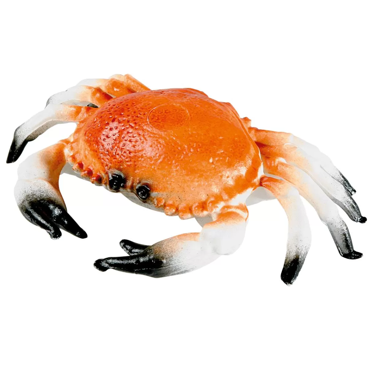 DecoWoerner Crab Food Dummy 20 Cm