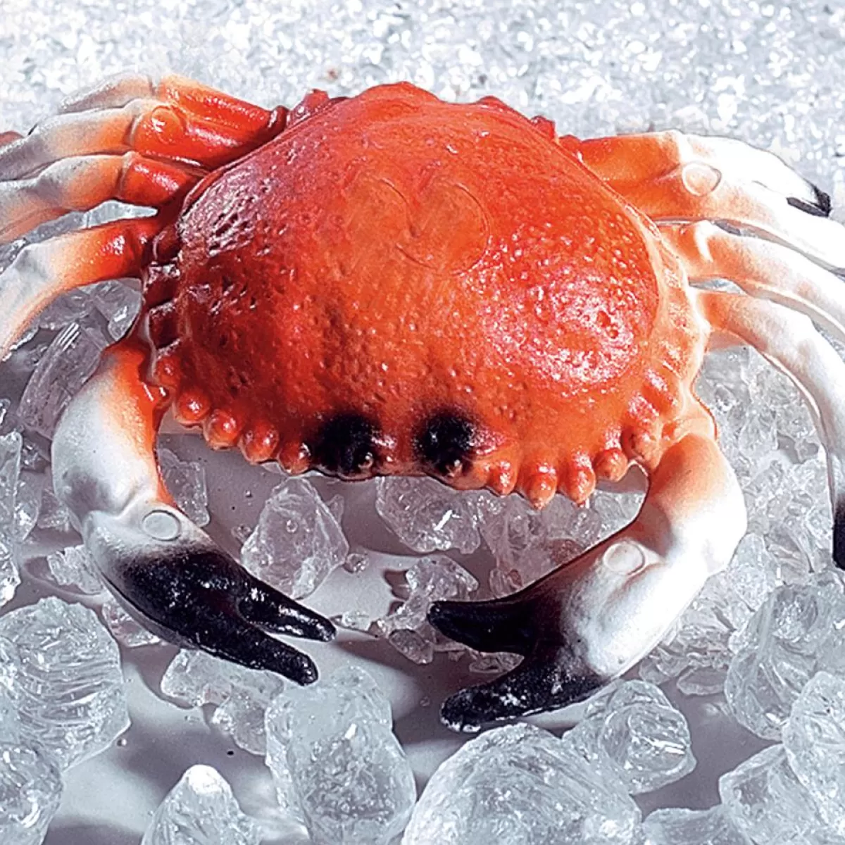 DecoWoerner Crab Food Dummy 20 Cm