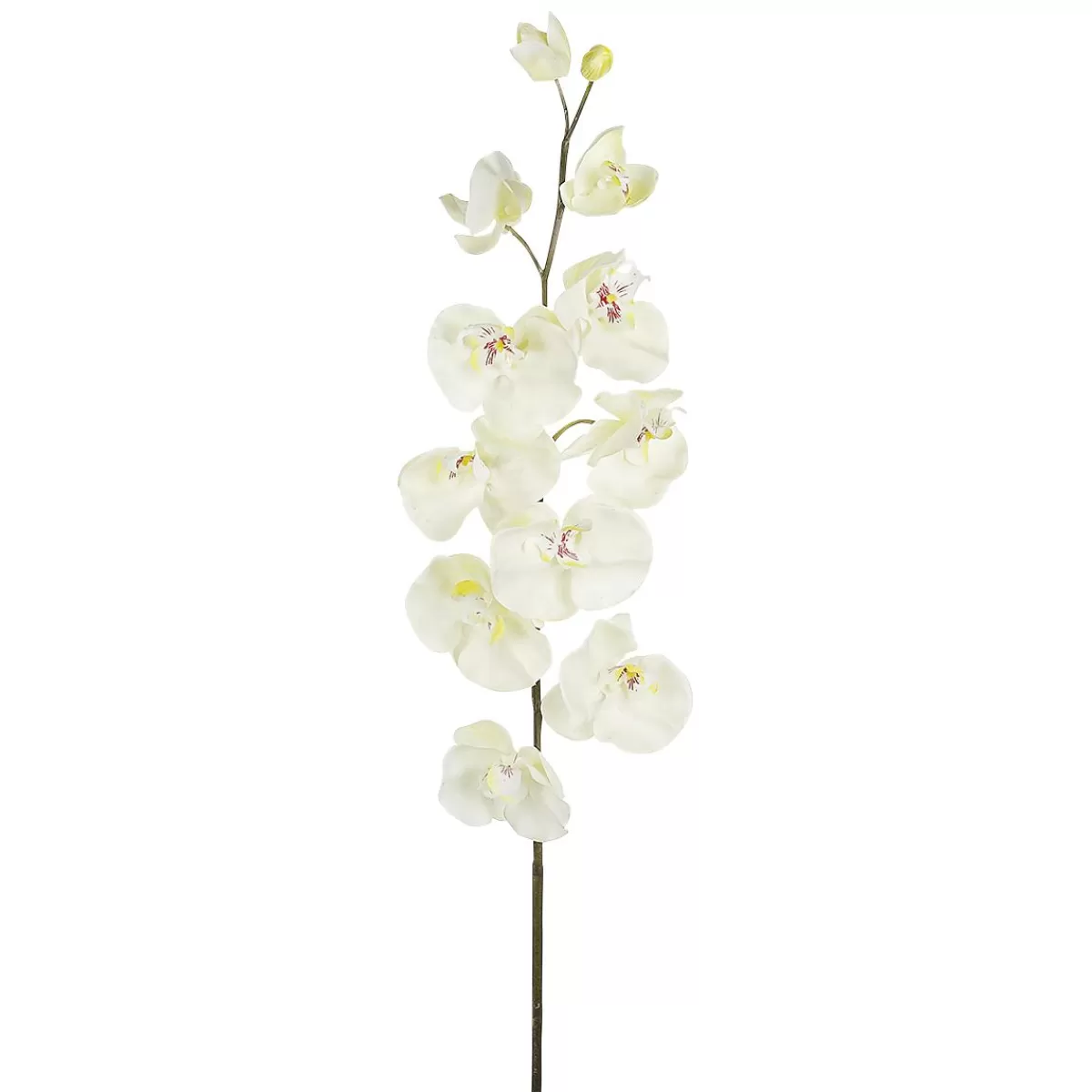 DecoWoerner Deco Orchid Branch 110 Cm