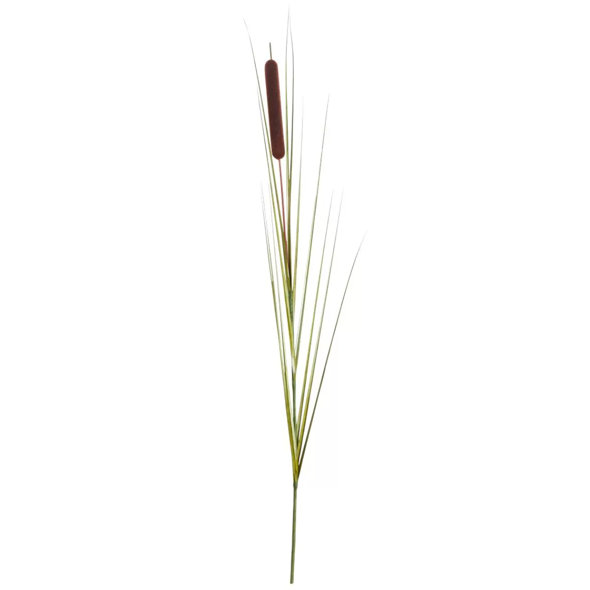 DecoWoerner Deco Reed Grass 120 Cm Pack Of 3