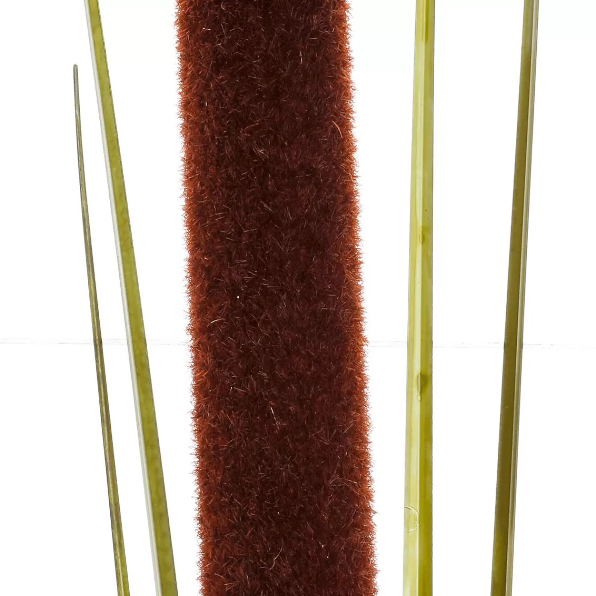 DecoWoerner Deco Reed Grass 120 Cm Pack Of 3