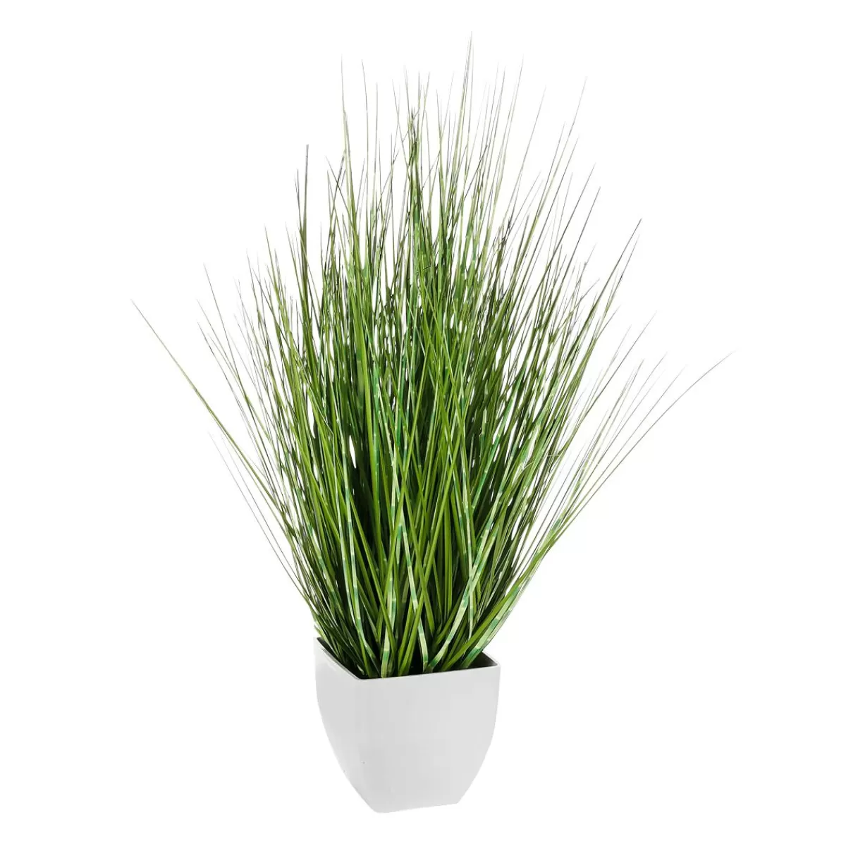 DecoWoerner Deco Zebra Grass In White Pot 50 Cm