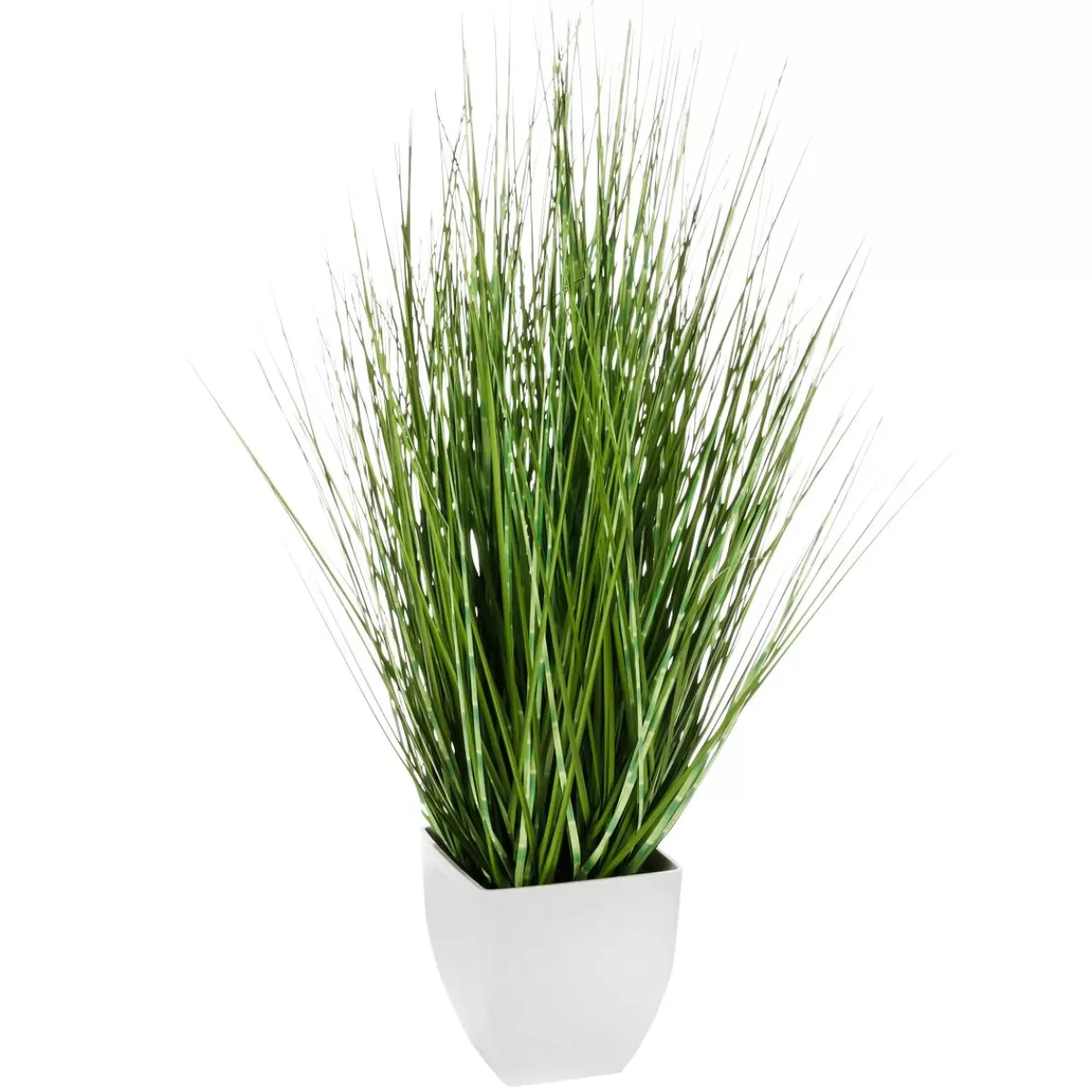 DecoWoerner Deco Zebra Grass In White Pot 78 Cm