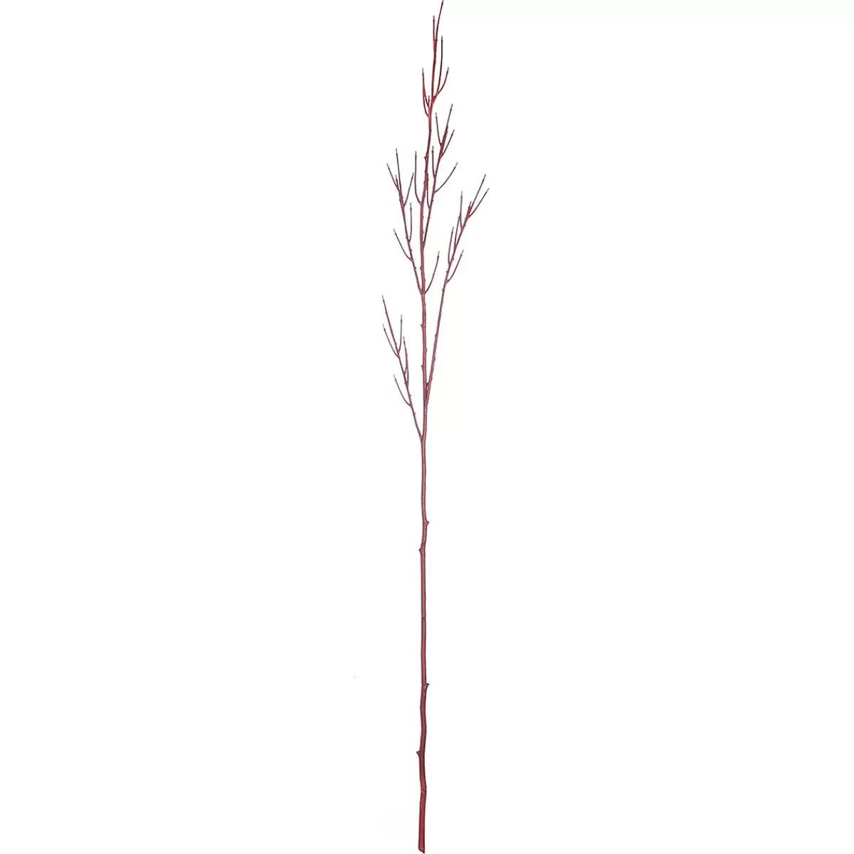 DecoWoerner Decoration Branch Cornus 130 Cm