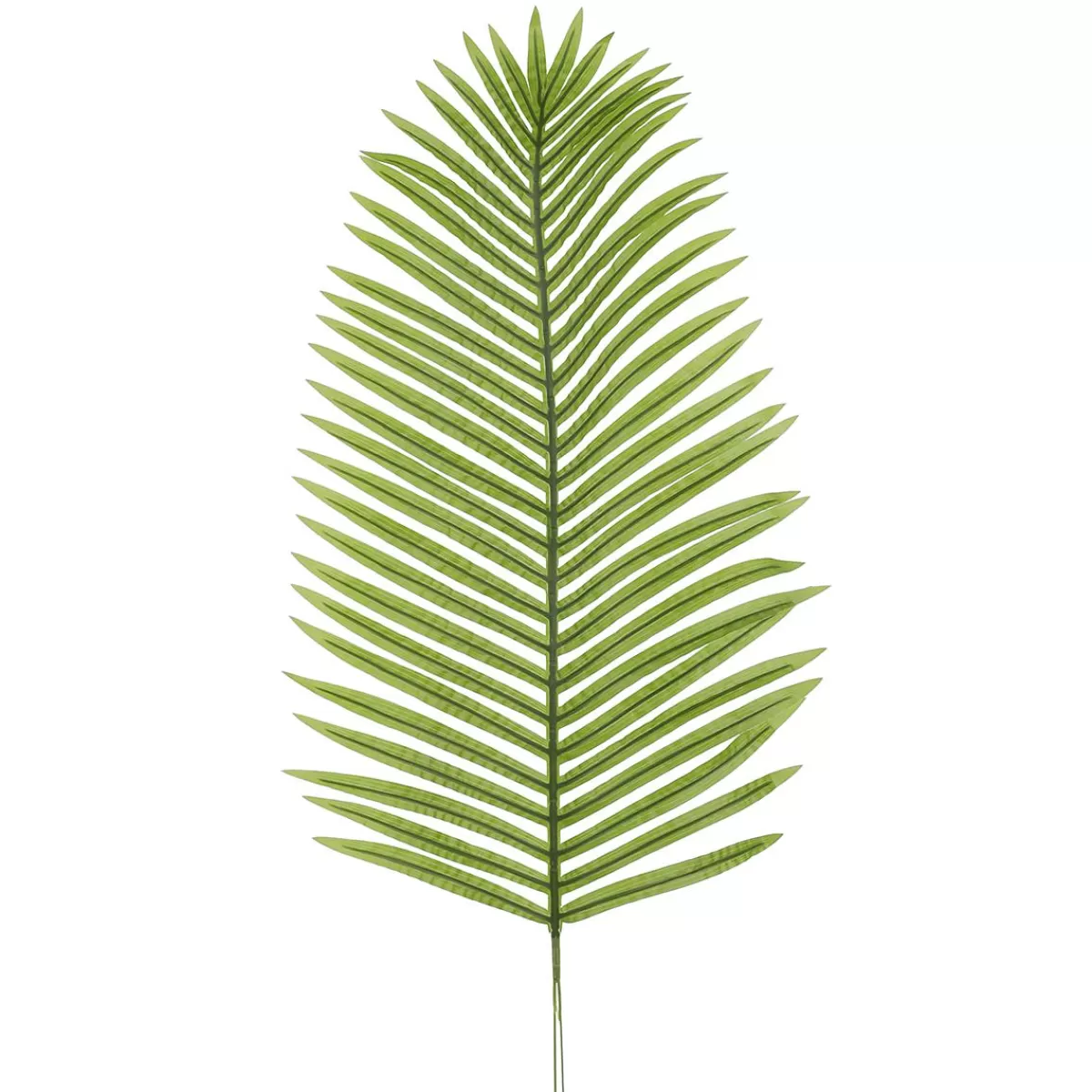 DecoWoerner Decorative Areca Palm Leaf, Length 115 Cm