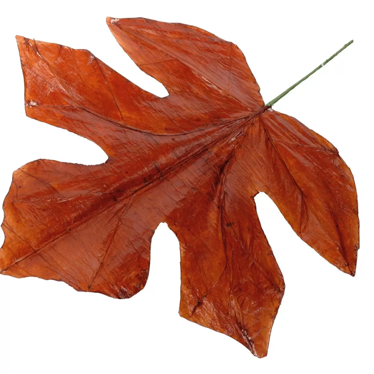 DecoWoerner Decorative Autumn Leaves 80 Cm, 3 Pcs