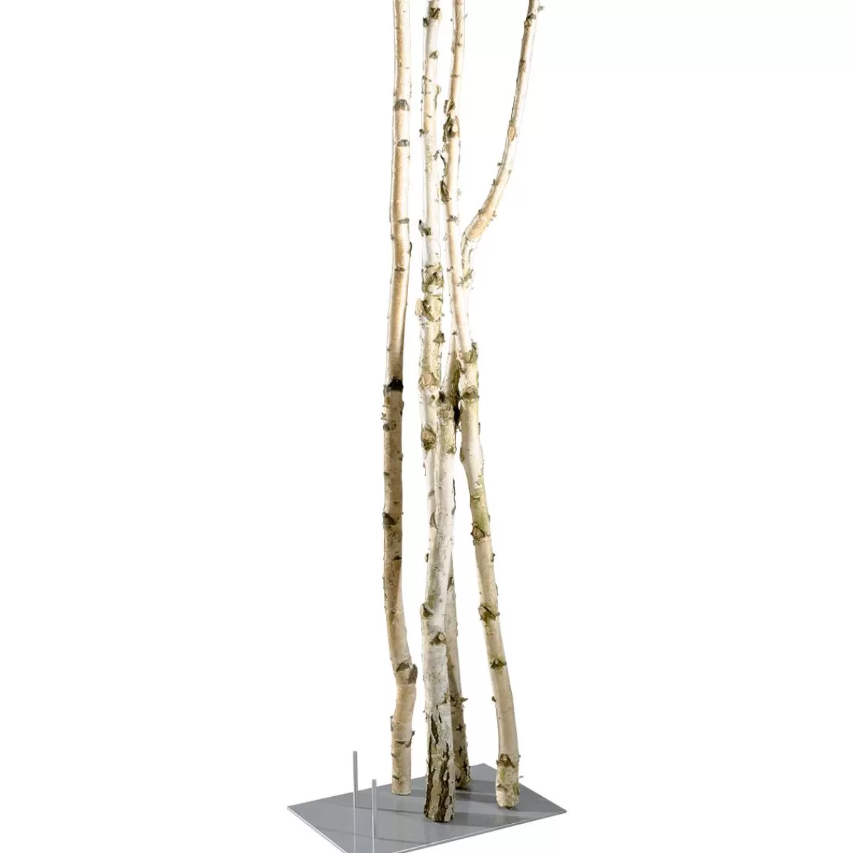 DecoWoerner Decorative Birch Trunks 220 Cm