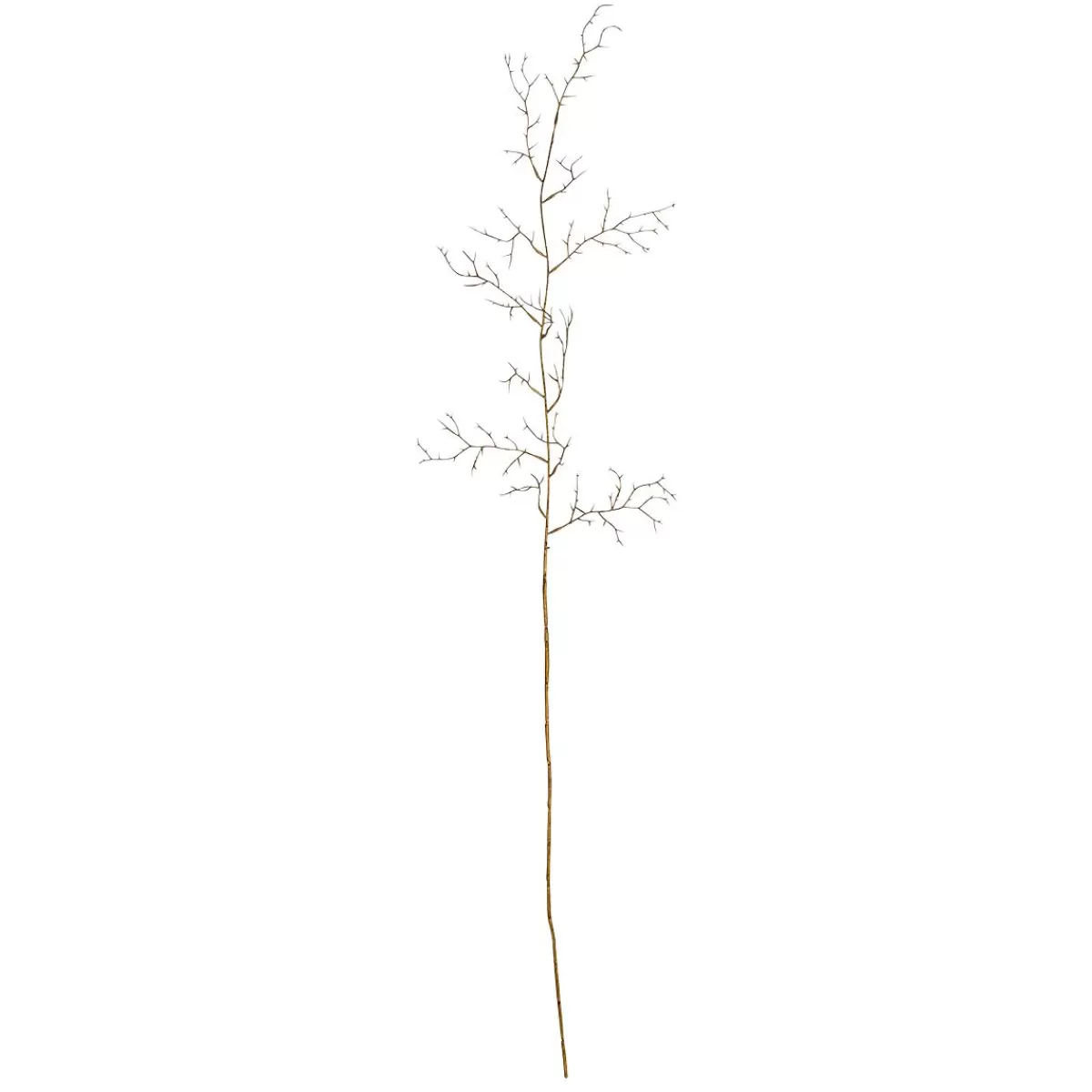 DecoWoerner Decorative Branch Hawthorn , Length 110 Cm