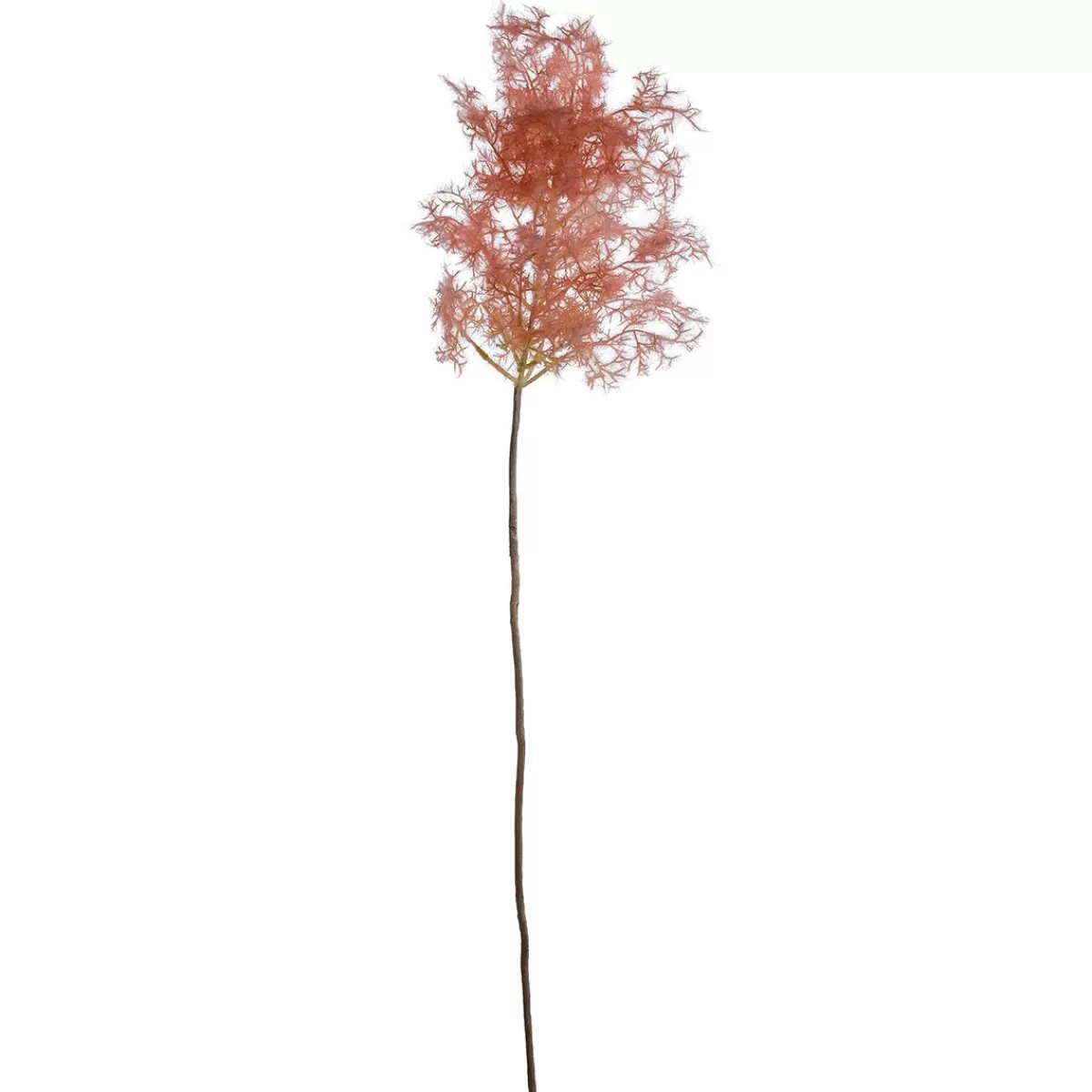 DecoWoerner Decorative Branch Reed Blossom, 90 Cm