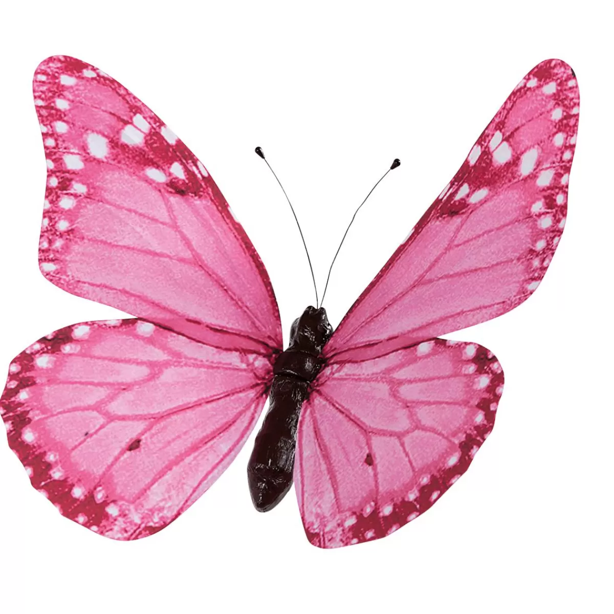 DecoWoerner Decorative Butterfly , 30 Cm