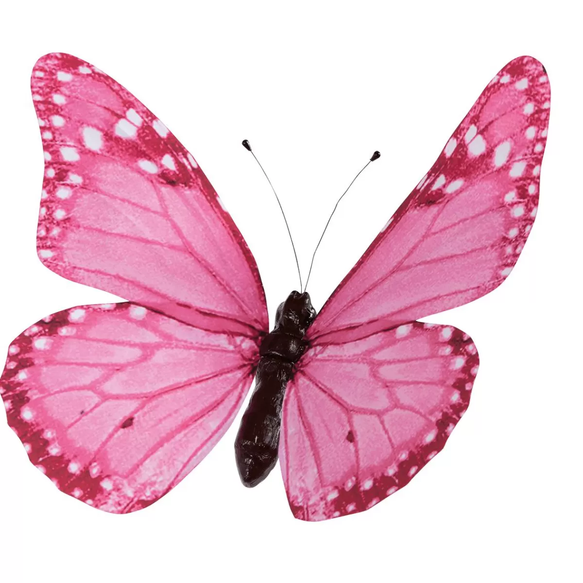 DecoWoerner Decorative Butterfly , 50 Cm