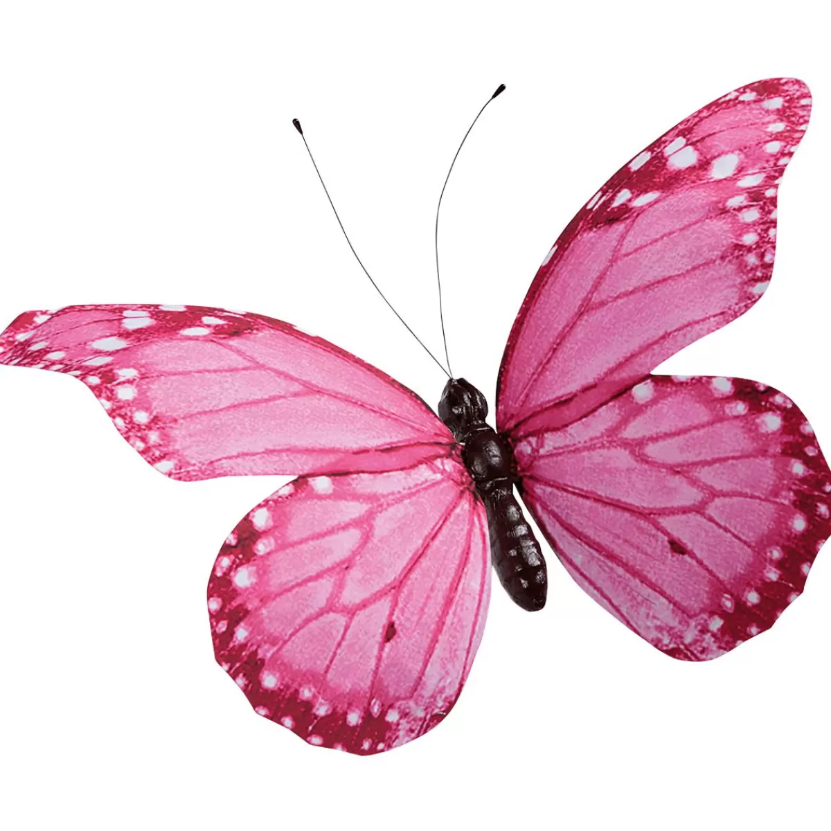 DecoWoerner Decorative Butterfly , 80 Cm