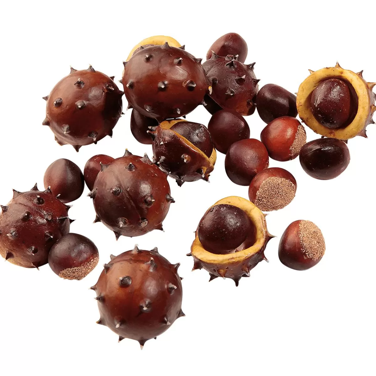 DecoWoerner Decorative Chestnuts, Ø 5 Cm, 22 Pcs