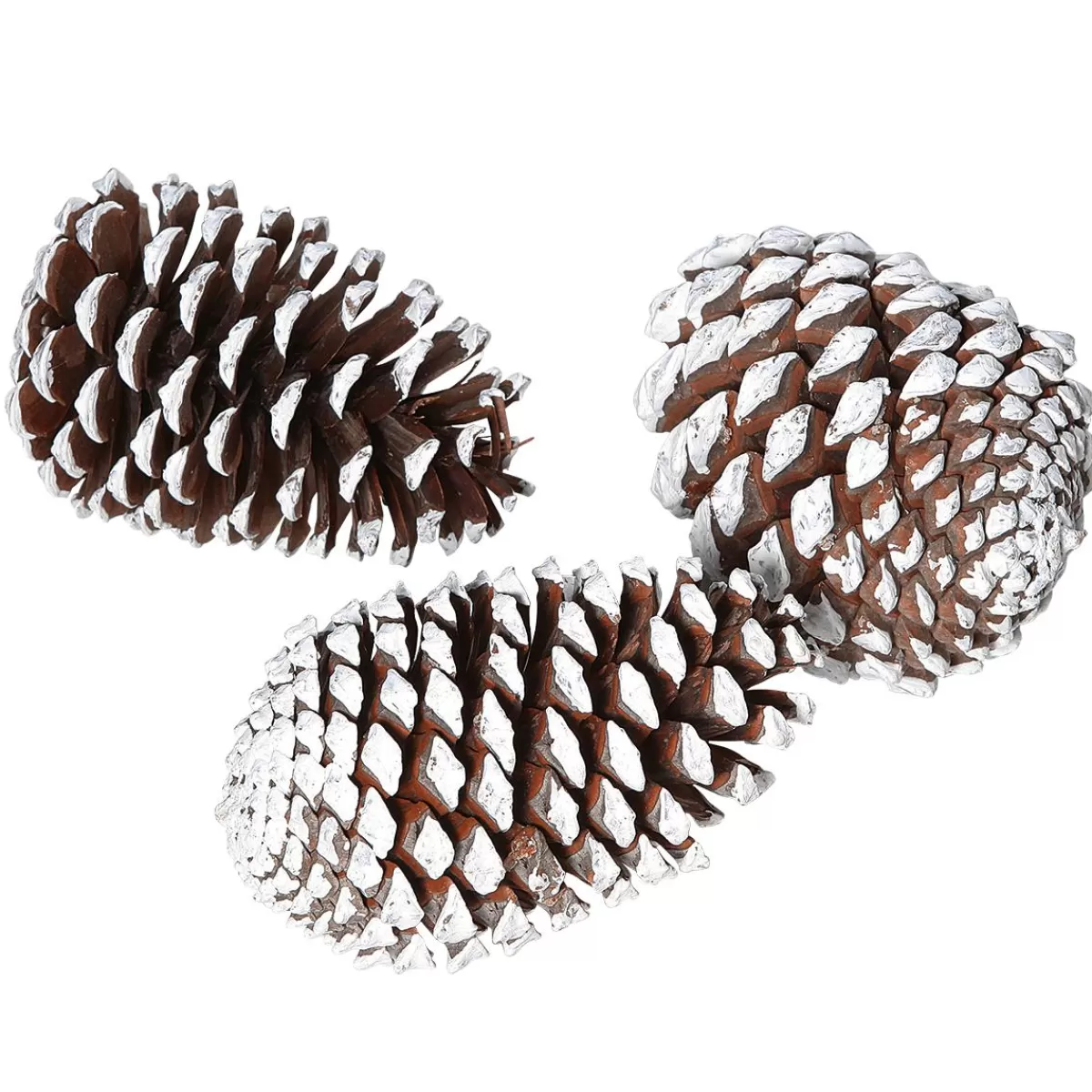 DecoWoerner Decorative Cones 15 Cm 3 Pcs