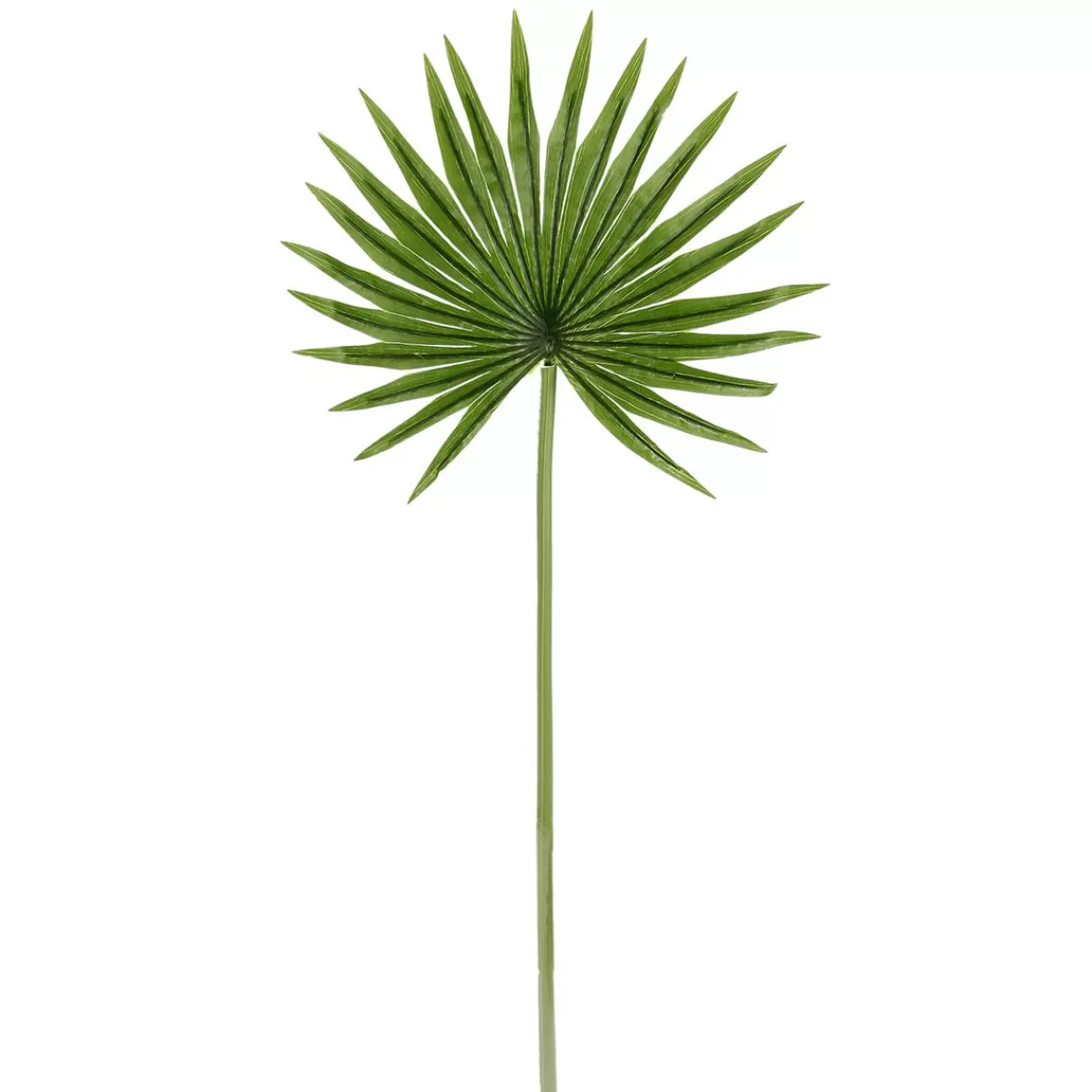 DecoWoerner Decorative Fan Palm Leaf, Length 66 Cm, 2 Pcs