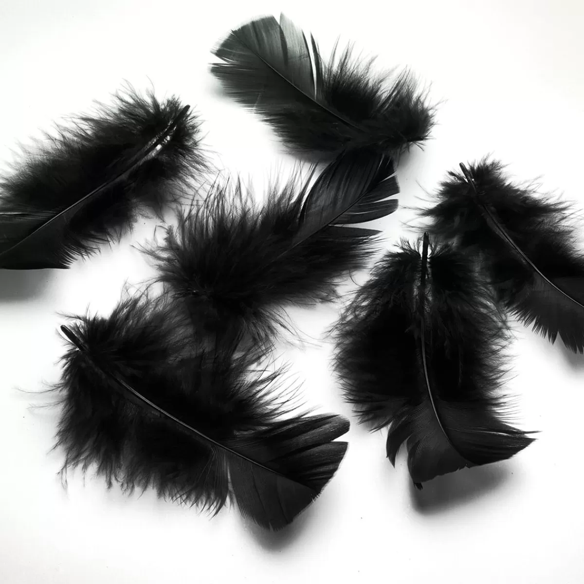 DecoWoerner Decorative Feathers , 20 G