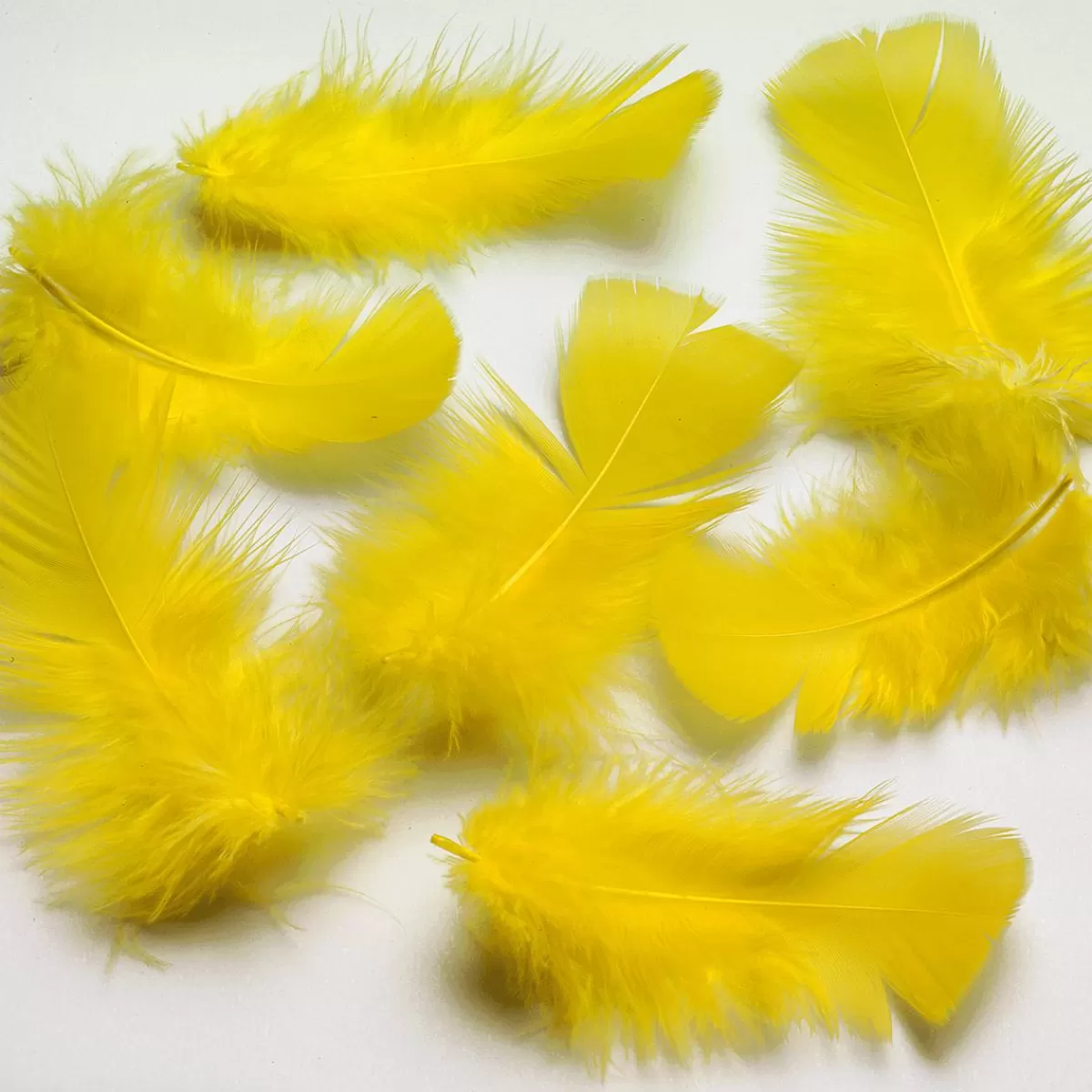 DecoWoerner Decorative Feathers , 20 G