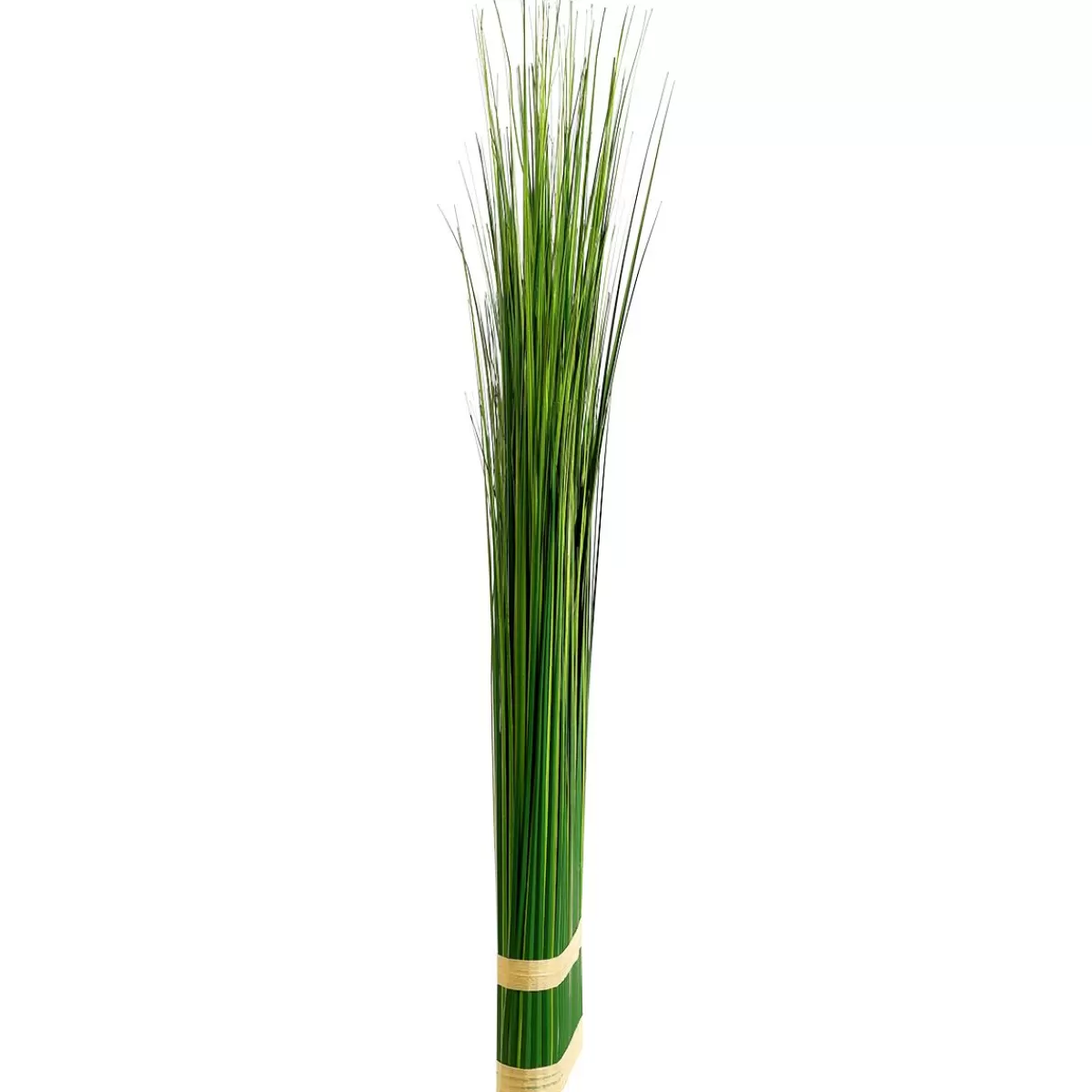 DecoWoerner Decorative Grass Bundle 100 Cm