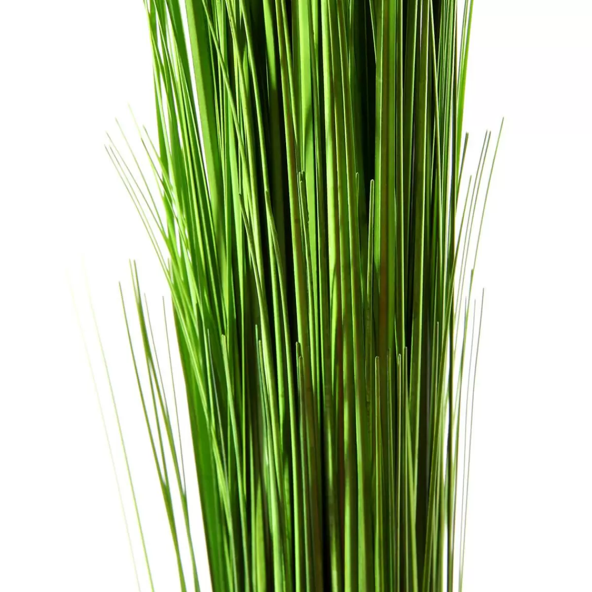 DecoWoerner Decorative Grass Bundle Extra Long, Length 90 Cm