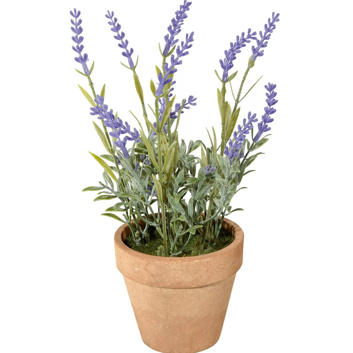 DecoWoerner Decorative Lavender In Pot, 23 Cm