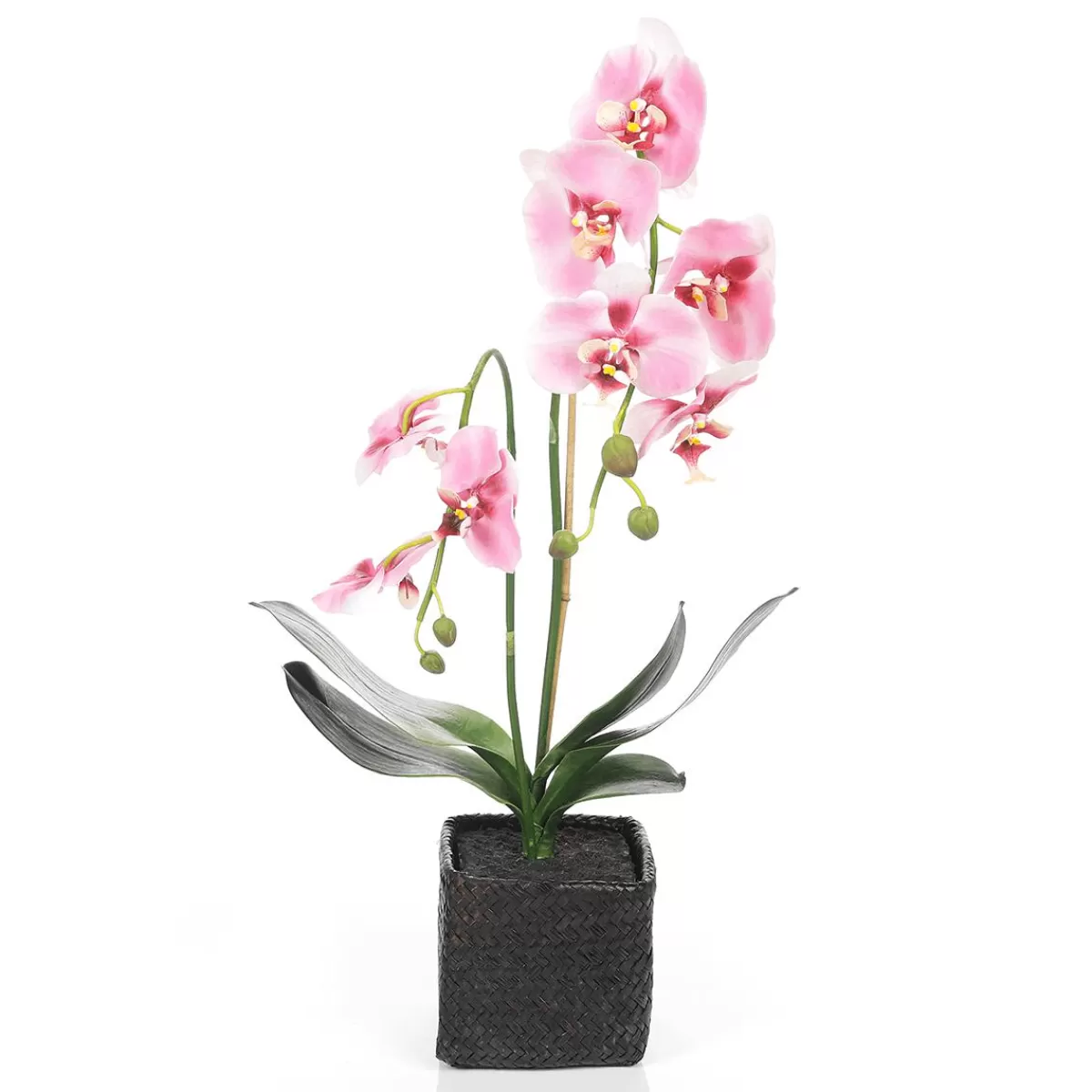 DecoWoerner Decorative Orchid In Pot 80 Cm