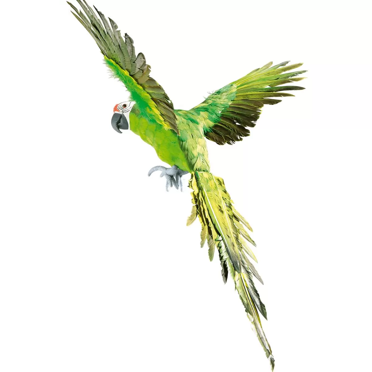 DecoWoerner Decorative Parrot Length 77 Cm