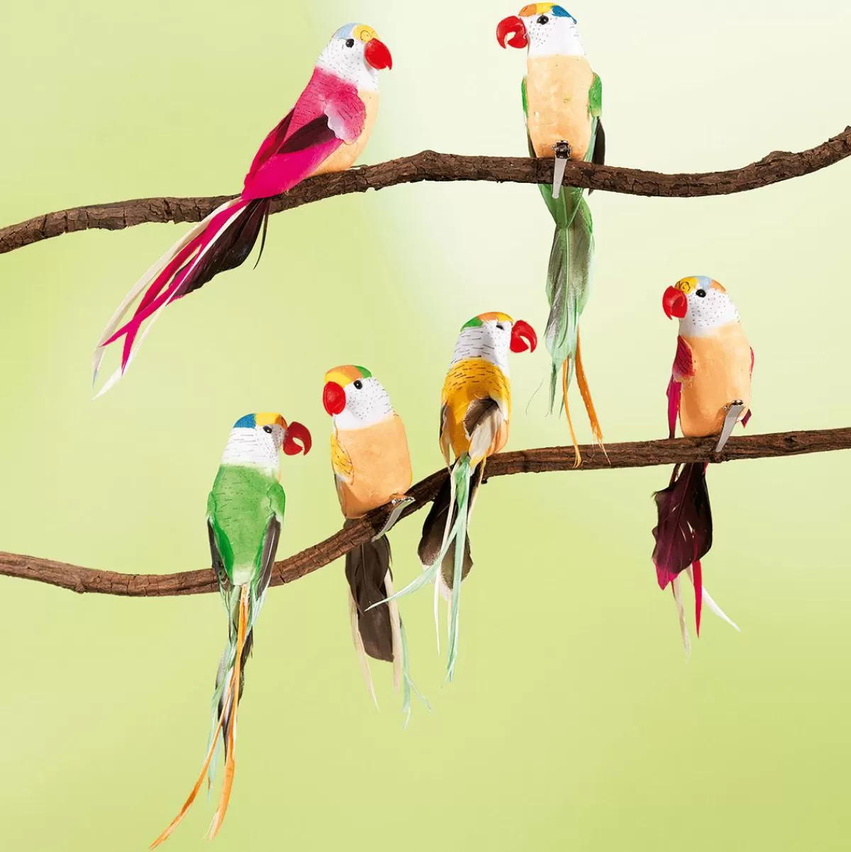 DecoWoerner Decorative Parrots 22 Cm, 6 Pcs