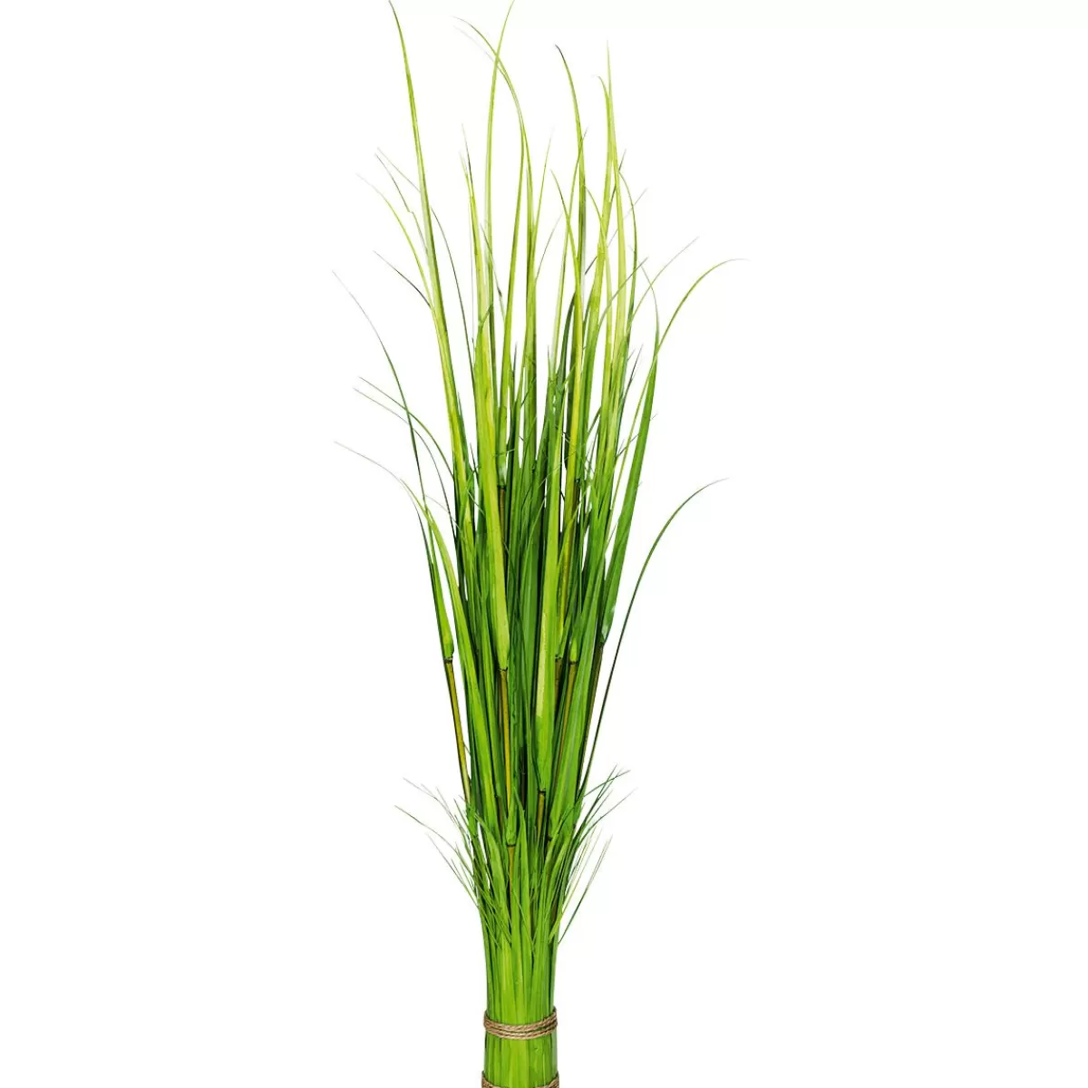 DecoWoerner Decorative Reed 150 Cm