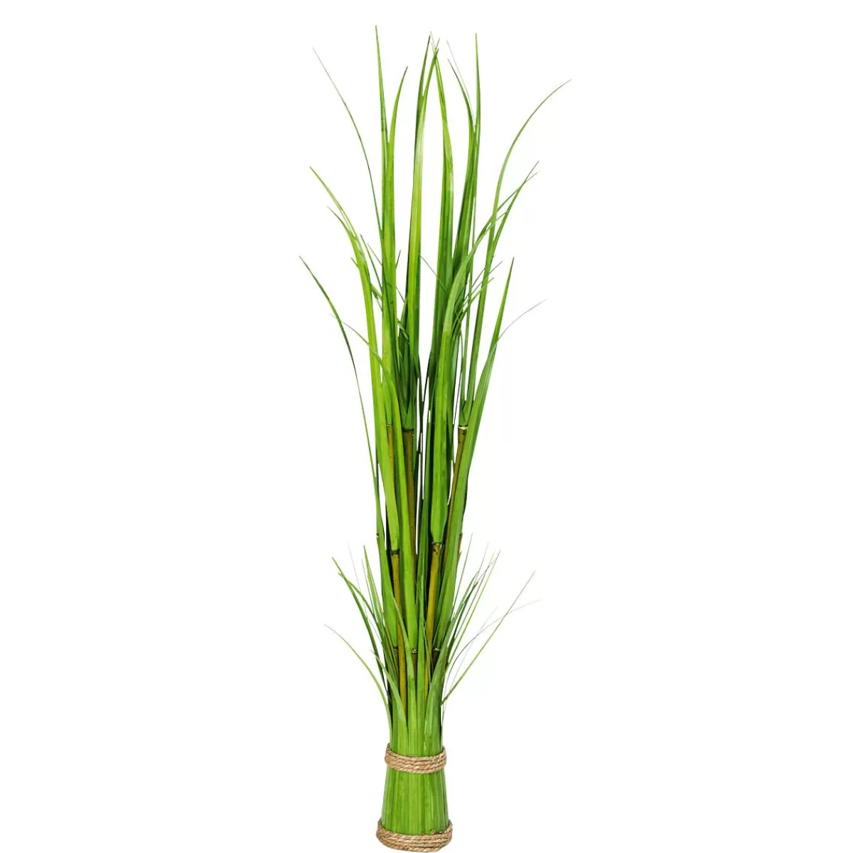 DecoWoerner Decorative Reed 90 Cm