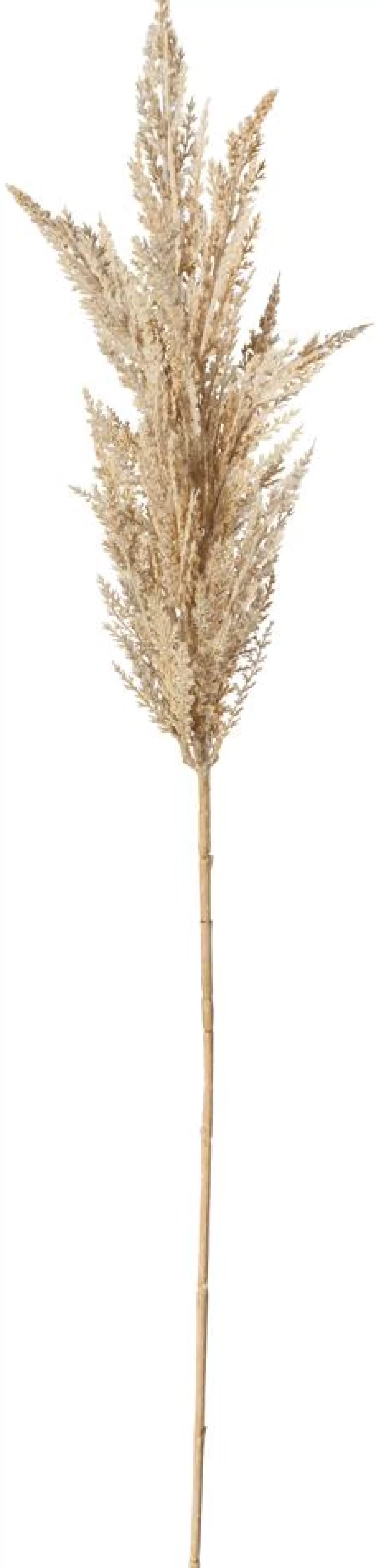 DecoWoerner Decorative Reed Pampas Grass, 94 Cm