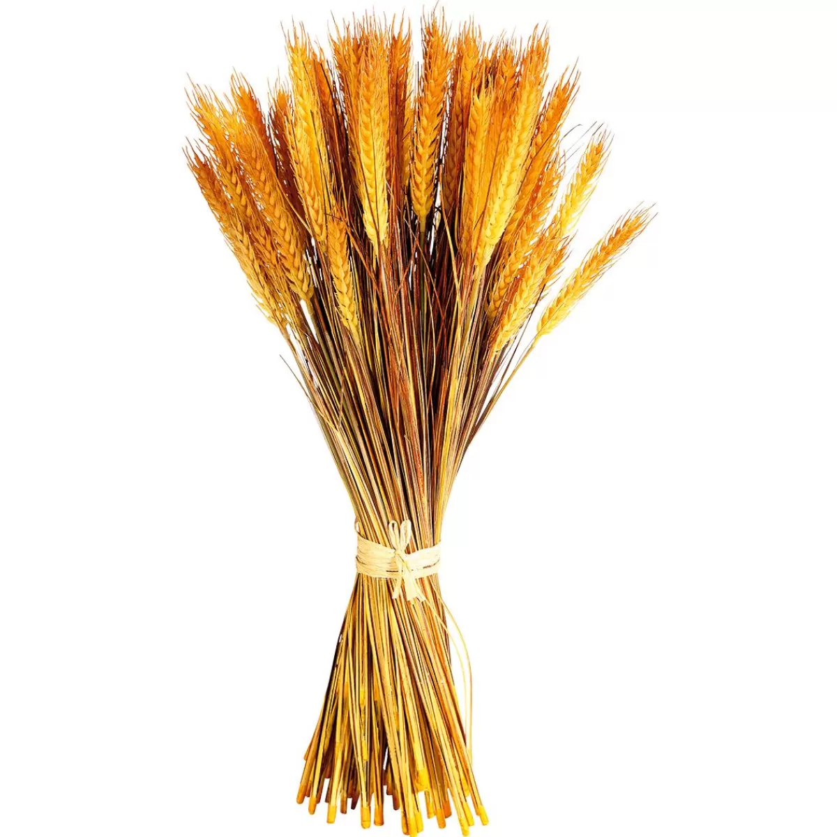 DecoWoerner Decorative Wheat Bundle 60 Cm