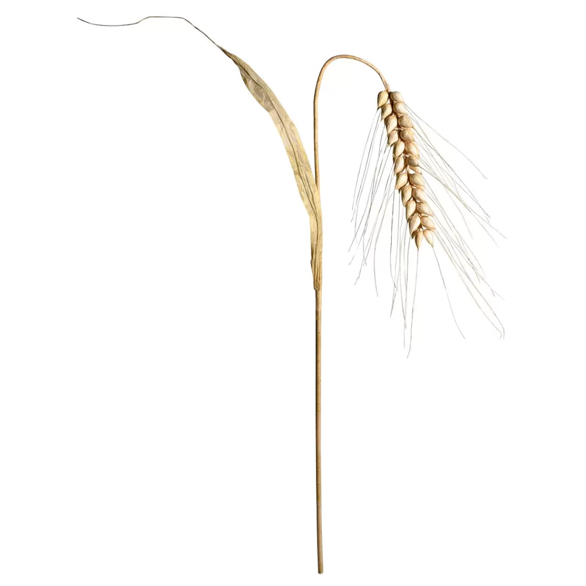 DecoWoerner Decorative Wheat Ear, Height 170 Cm