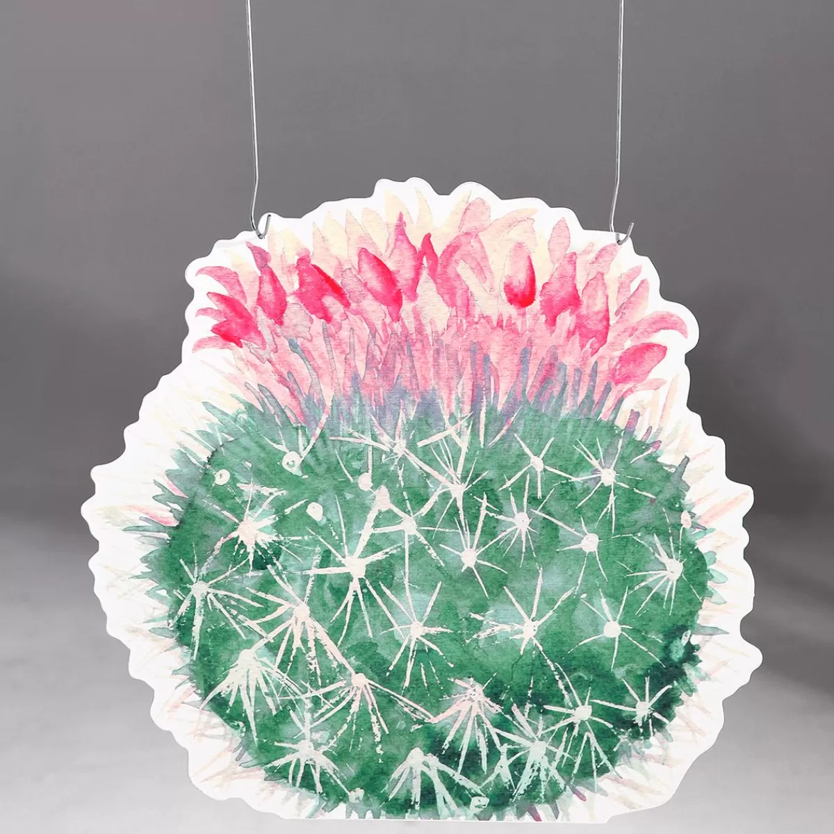 DecoWoerner Display Hanger "Barrel Cactus"