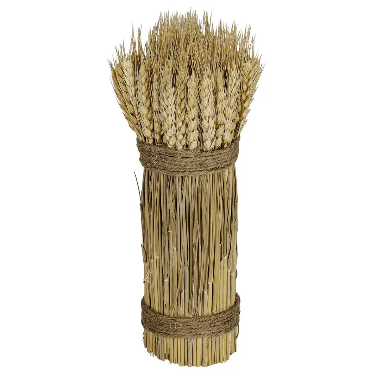 DecoWoerner Dried Wheat Stalks 2-tied 8 X 28 Cm