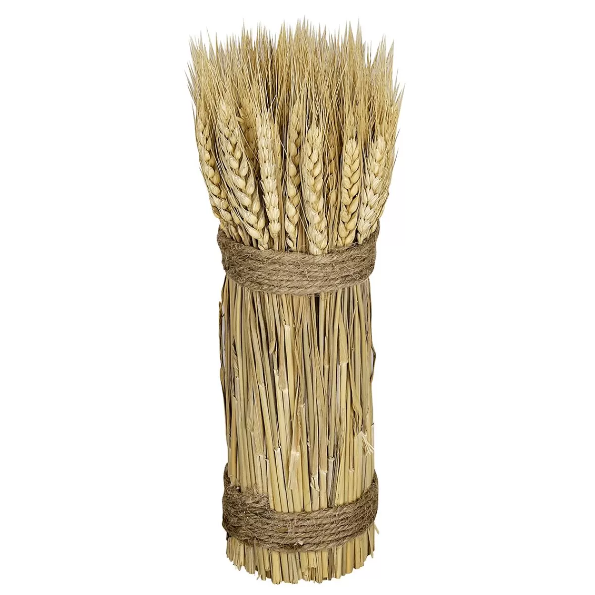 DecoWoerner Dried Wheat Stalks 2-tied 8 X 28 Cm