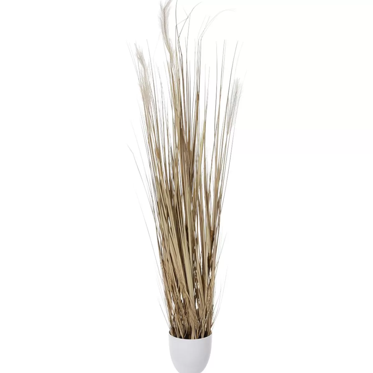 DecoWoerner Dry Grass Bundle 150 Cm High, In White Pot Ø 20 Cm