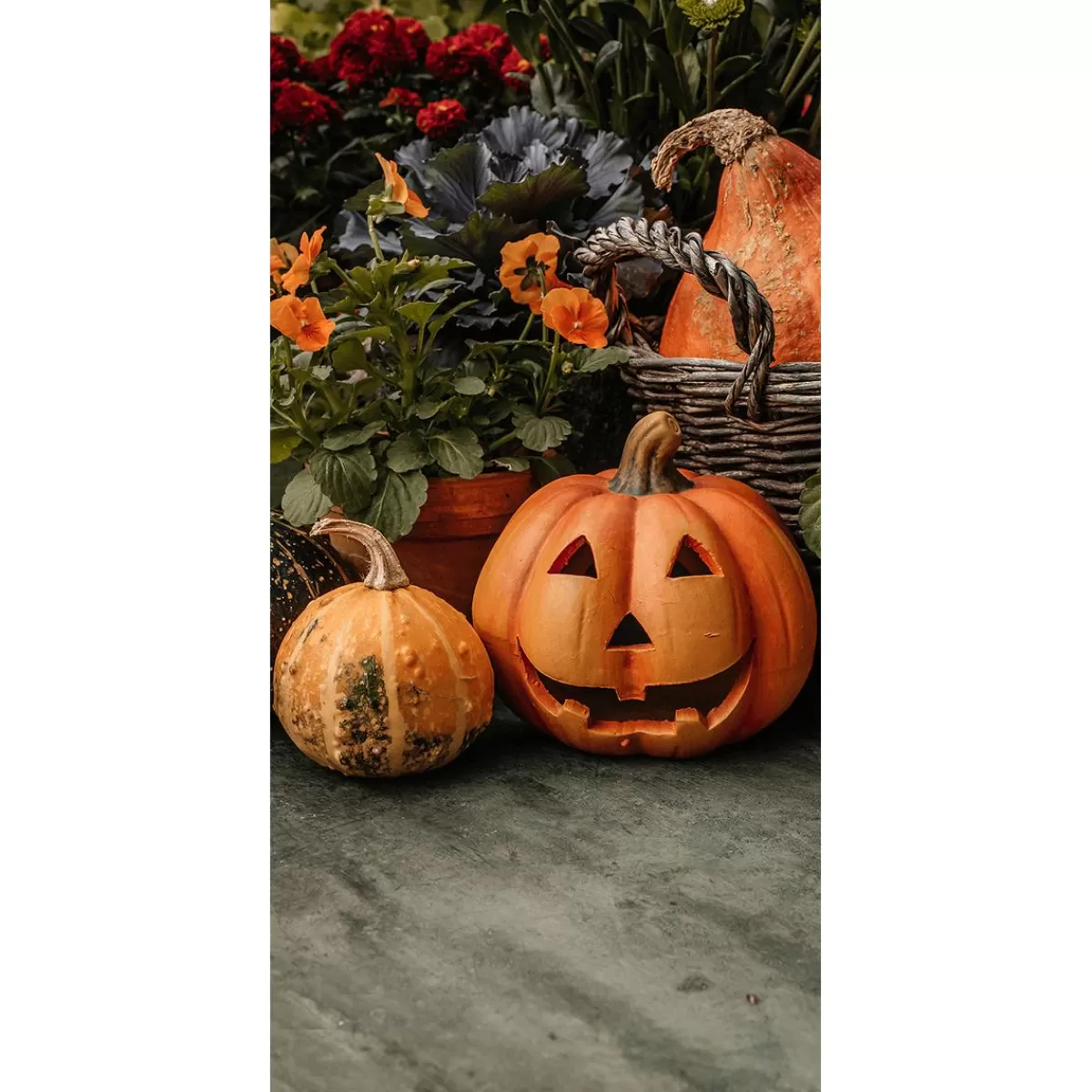 DecoWoerner Fabric Banner Pumpkin Halloween 100 X 200 Cm