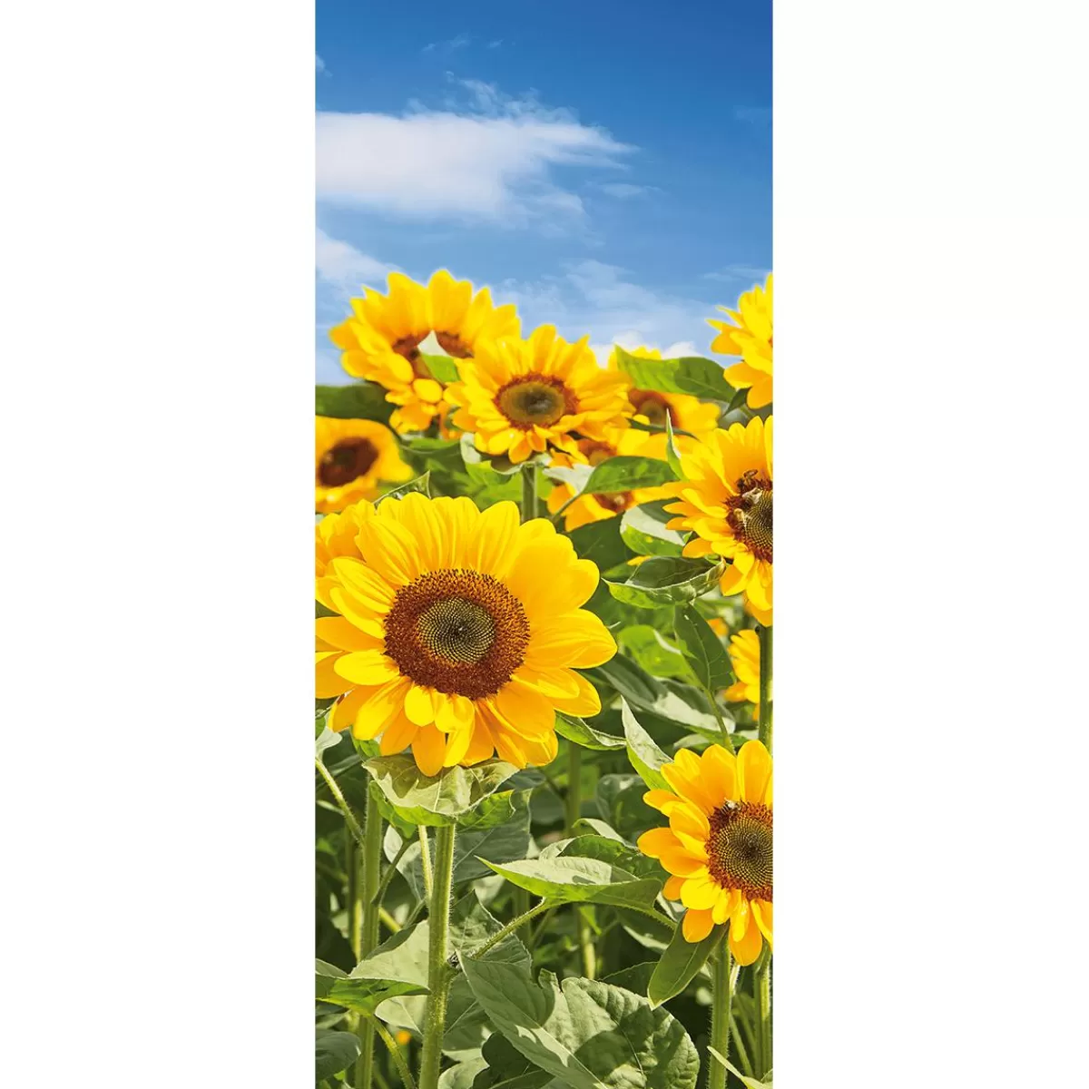 DecoWoerner Fabric Banner Sunflower Field 75 X 180 Cm