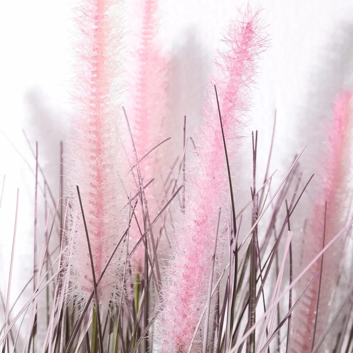 DecoWoerner Fine Decorative Feather Bristle Grass In Silver- In A Noble Zinc Pot 57 Cm