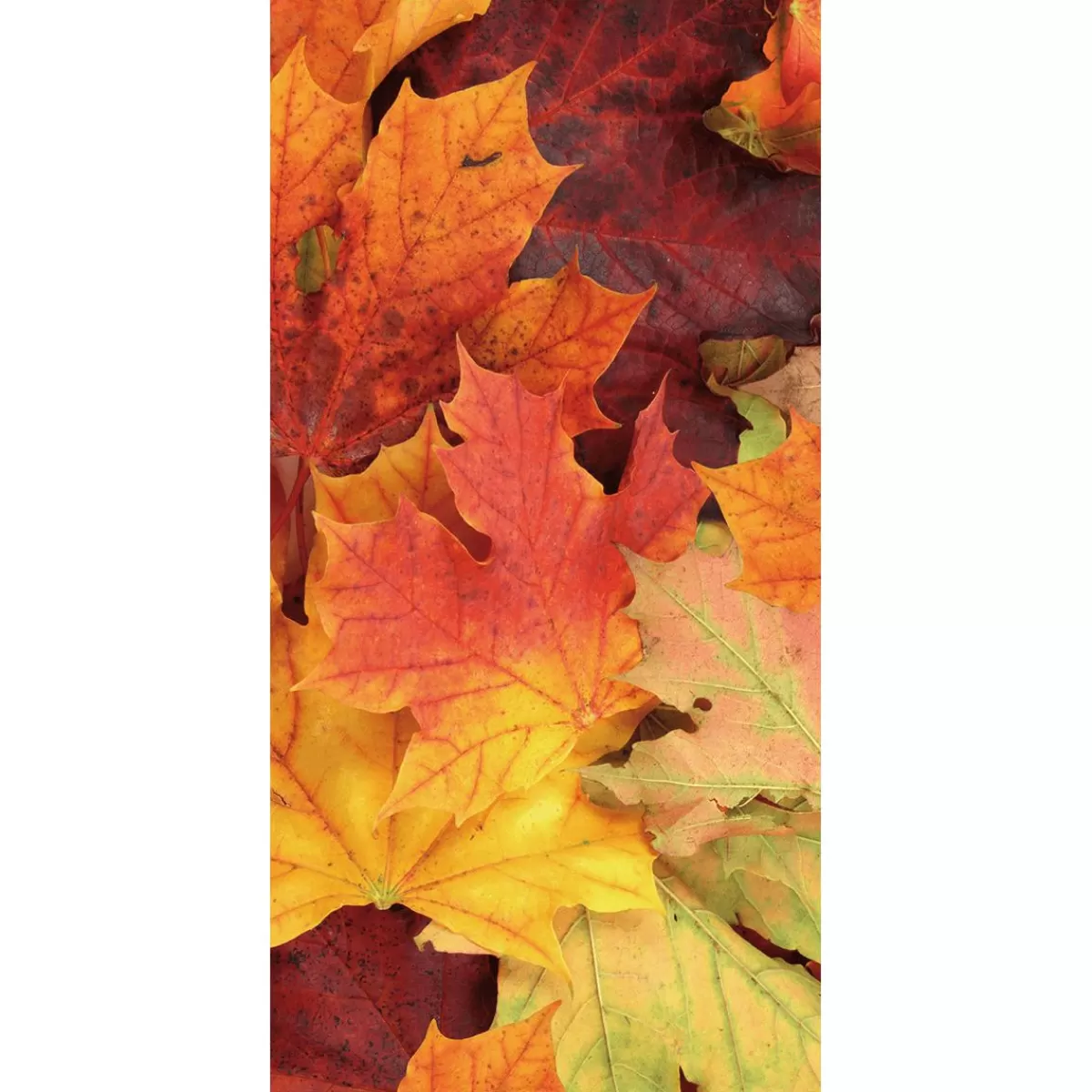 DecoWoerner Flame Retardant Fabric Banner "Autumn Leaves" Flag Fabric 100 X 200 Cm