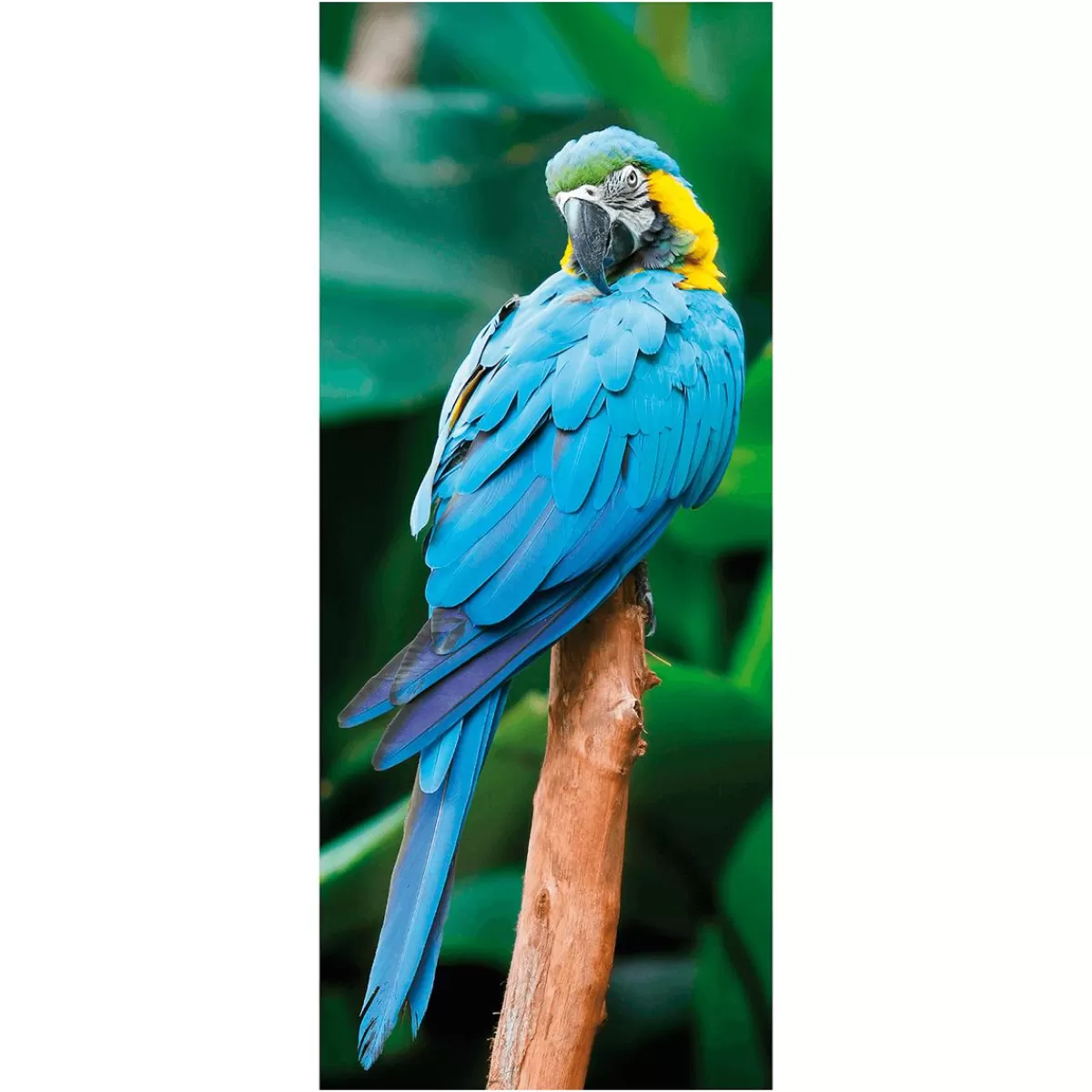 DecoWoerner Flame Retardant Fabric Banner " Macaw Parrot" Flag Fabric 75 X 180 Cm